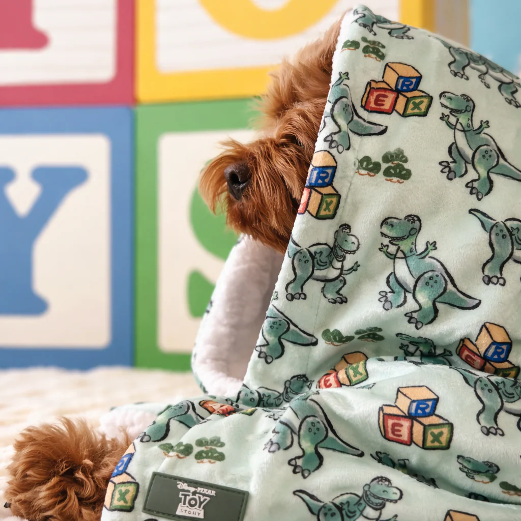 Disney© Dog Blanket - Rex - Image 5