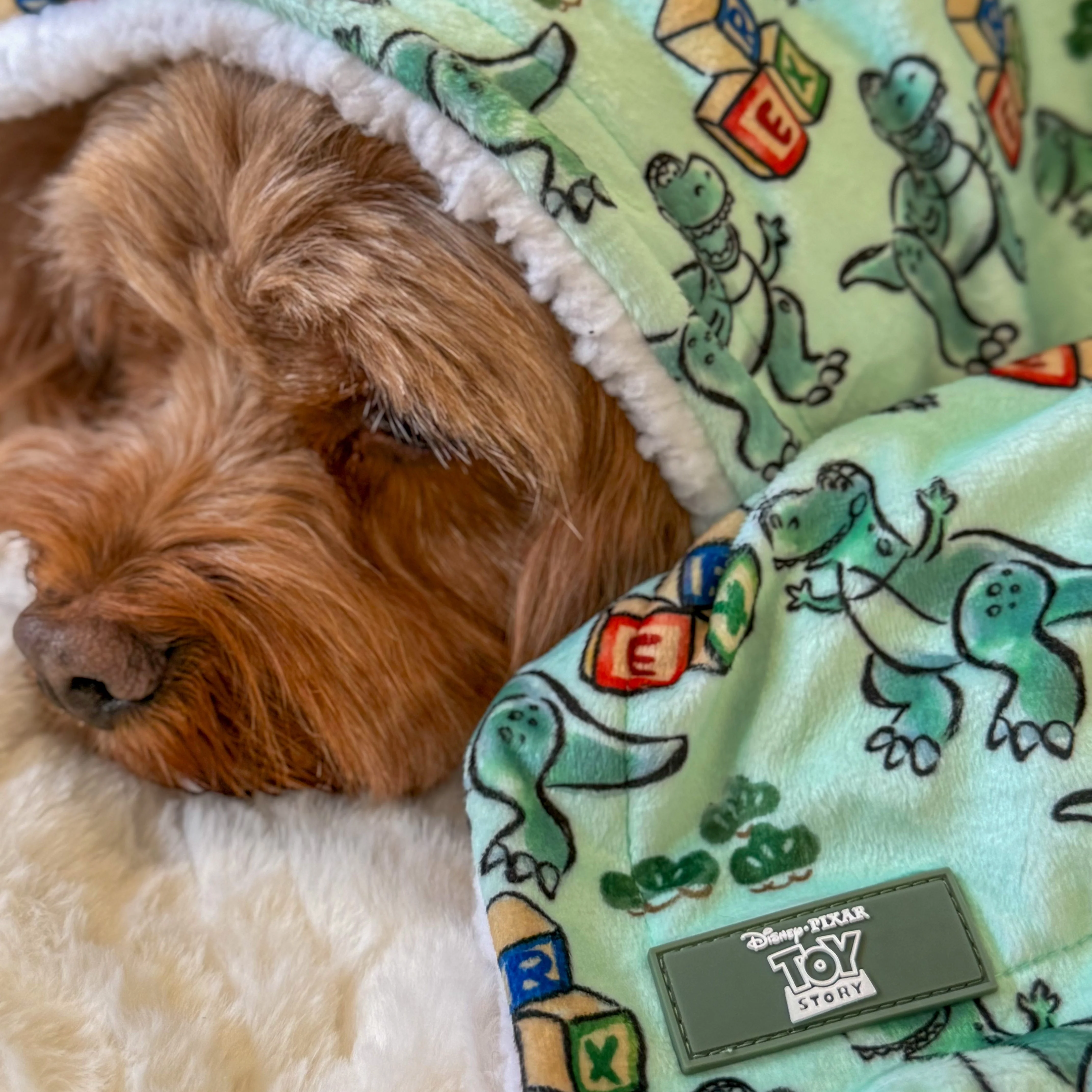 Disney© Dog Blanket - Rex - Image 6