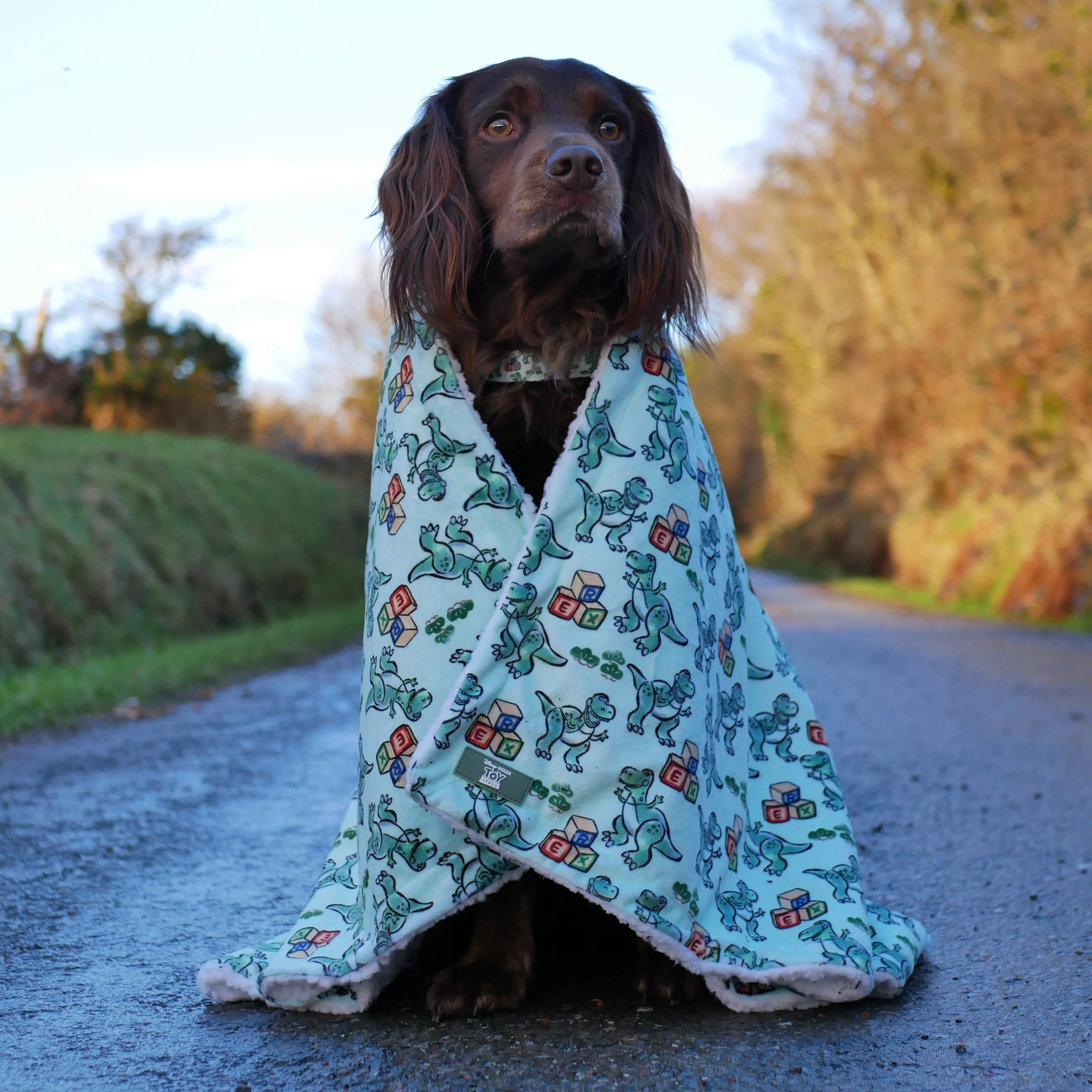 Disney© Dog Blanket - Rex - Image 9