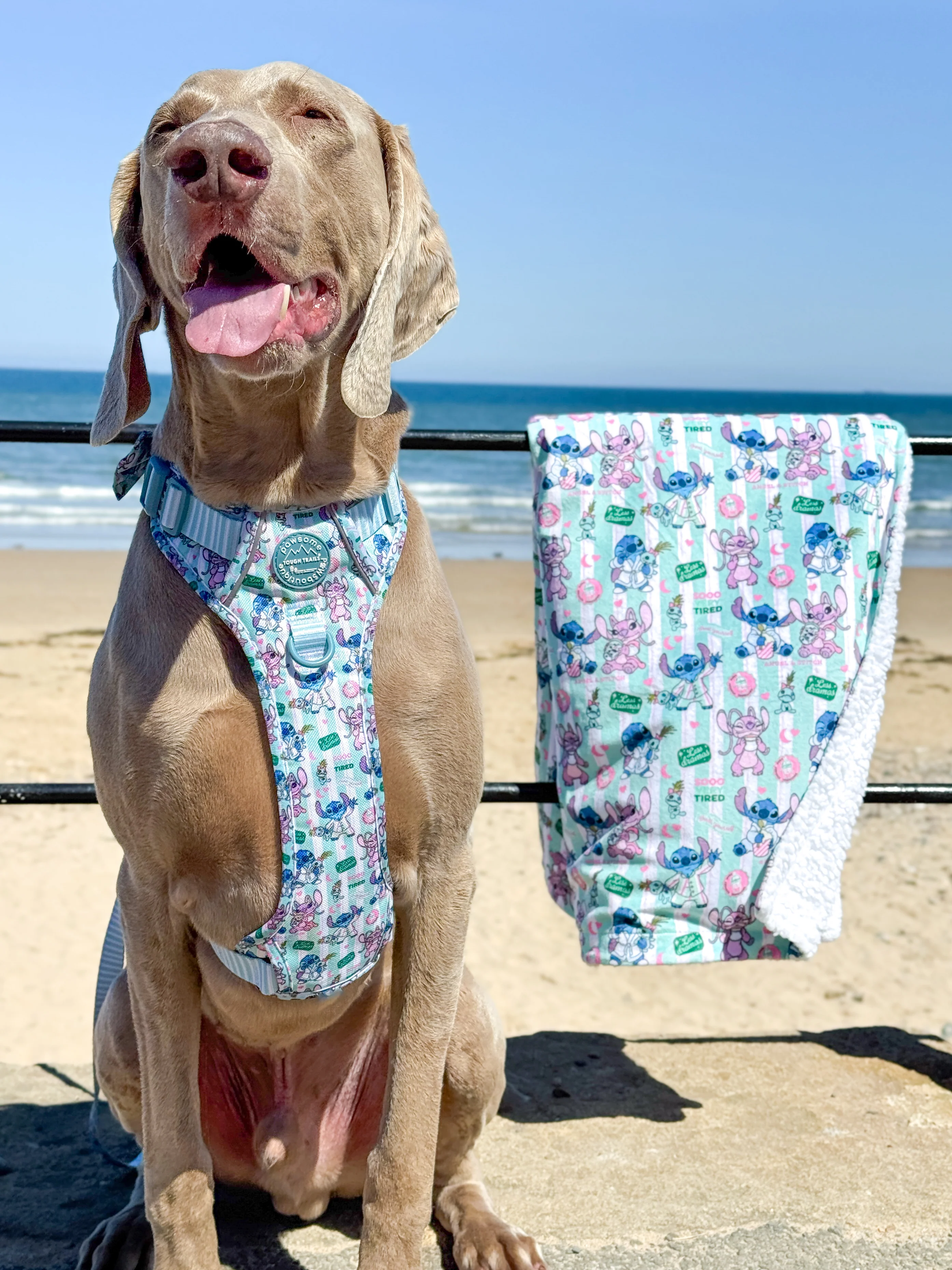 Disney© Dog Blanket - Stitch's Slumber Party - Image 8