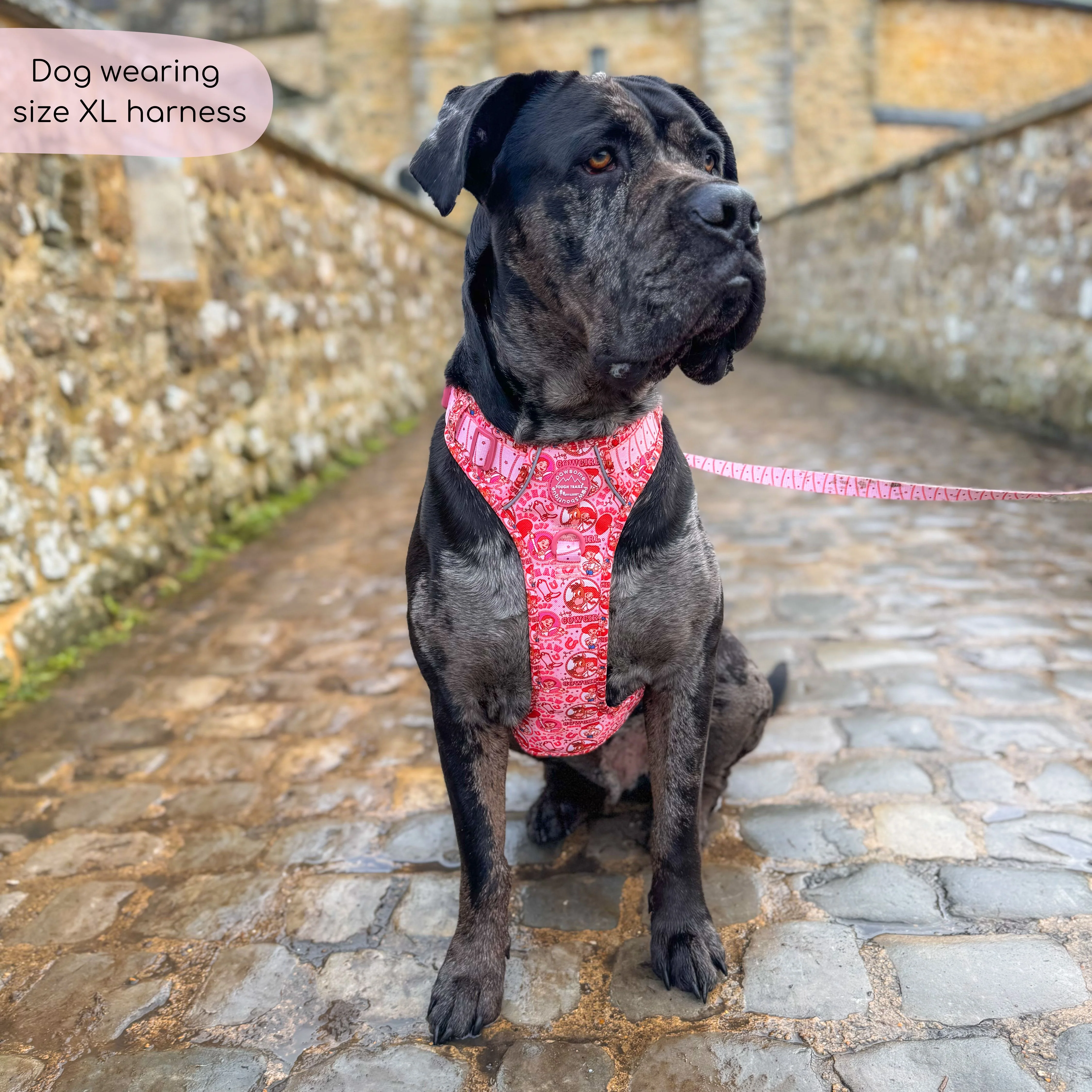 Disney© Tough Trails™ Harness - Jessie - Image 15