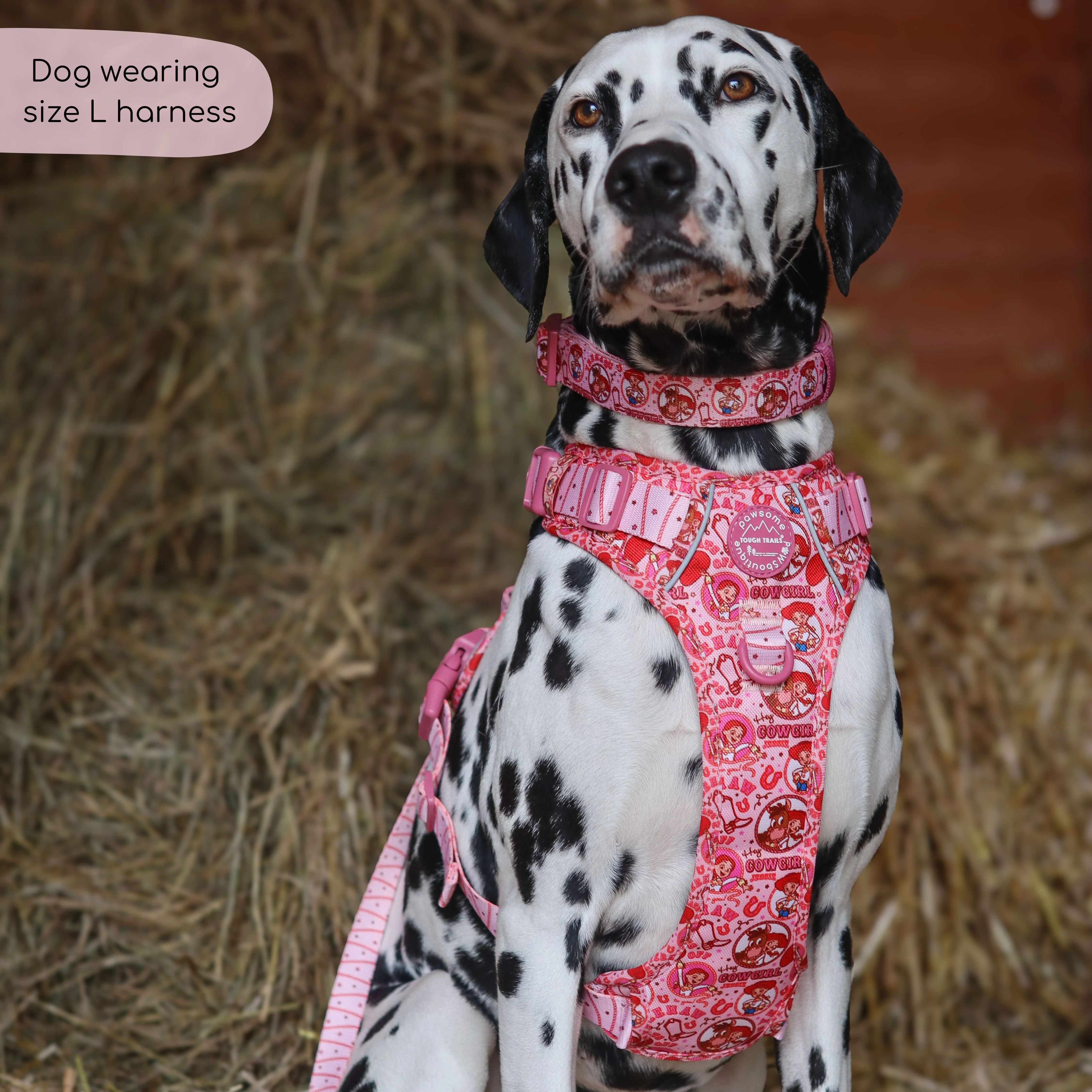 Disney© Tough Trails™ Harness - Jessie - Image 7
