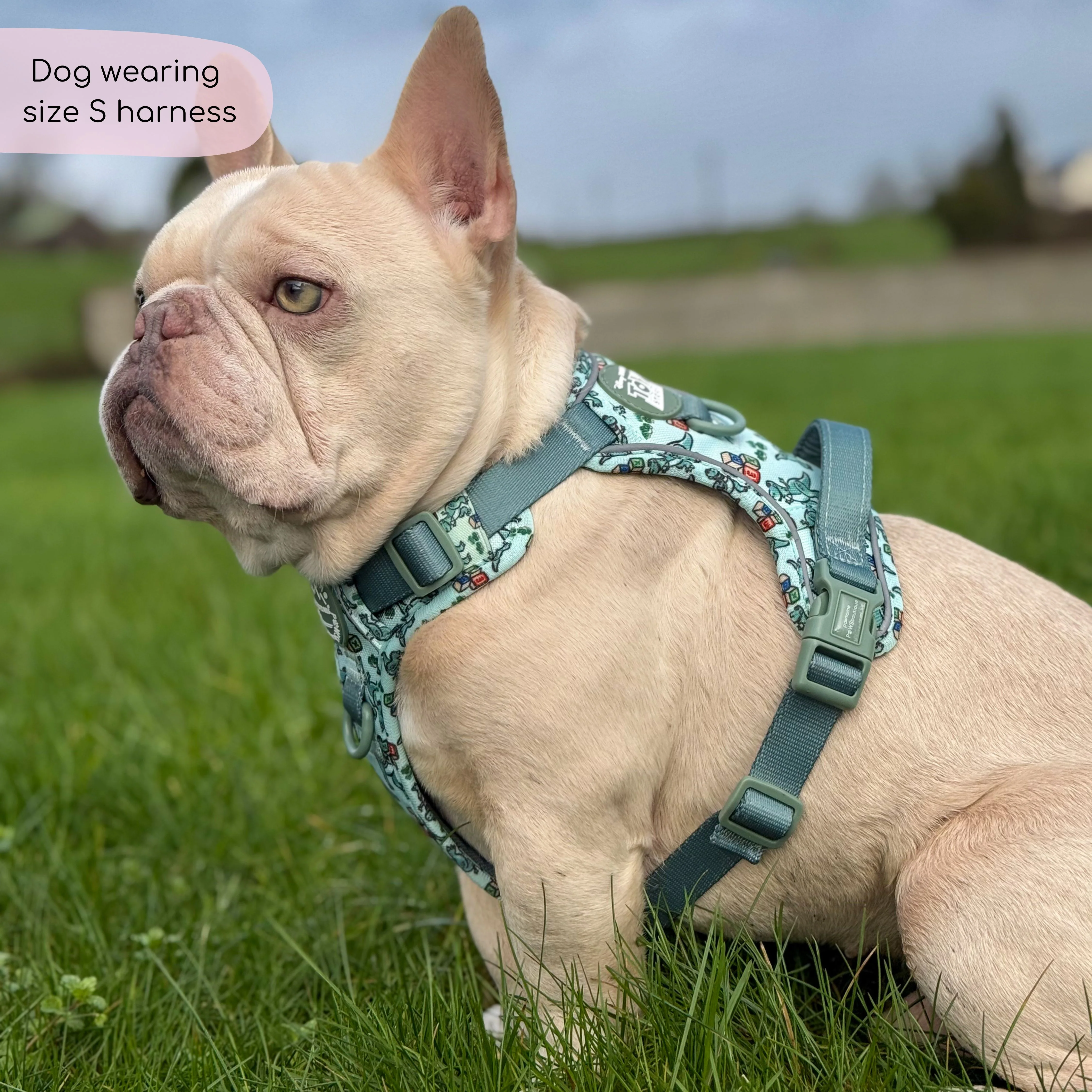 Disney© Tough Trails™ Harness - Rex - Image 10