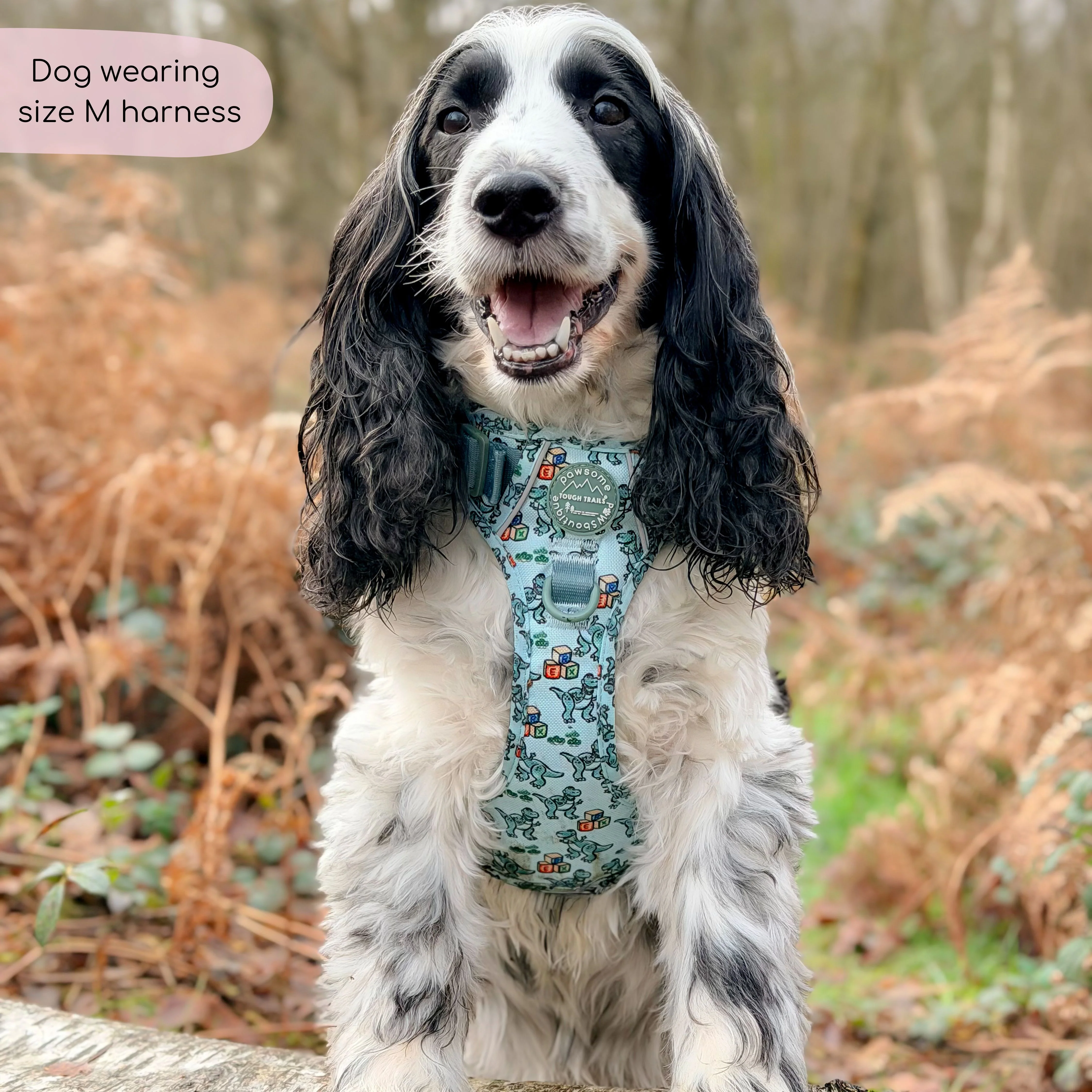 Disney© Tough Trails™ Harness - Rex - Image 14