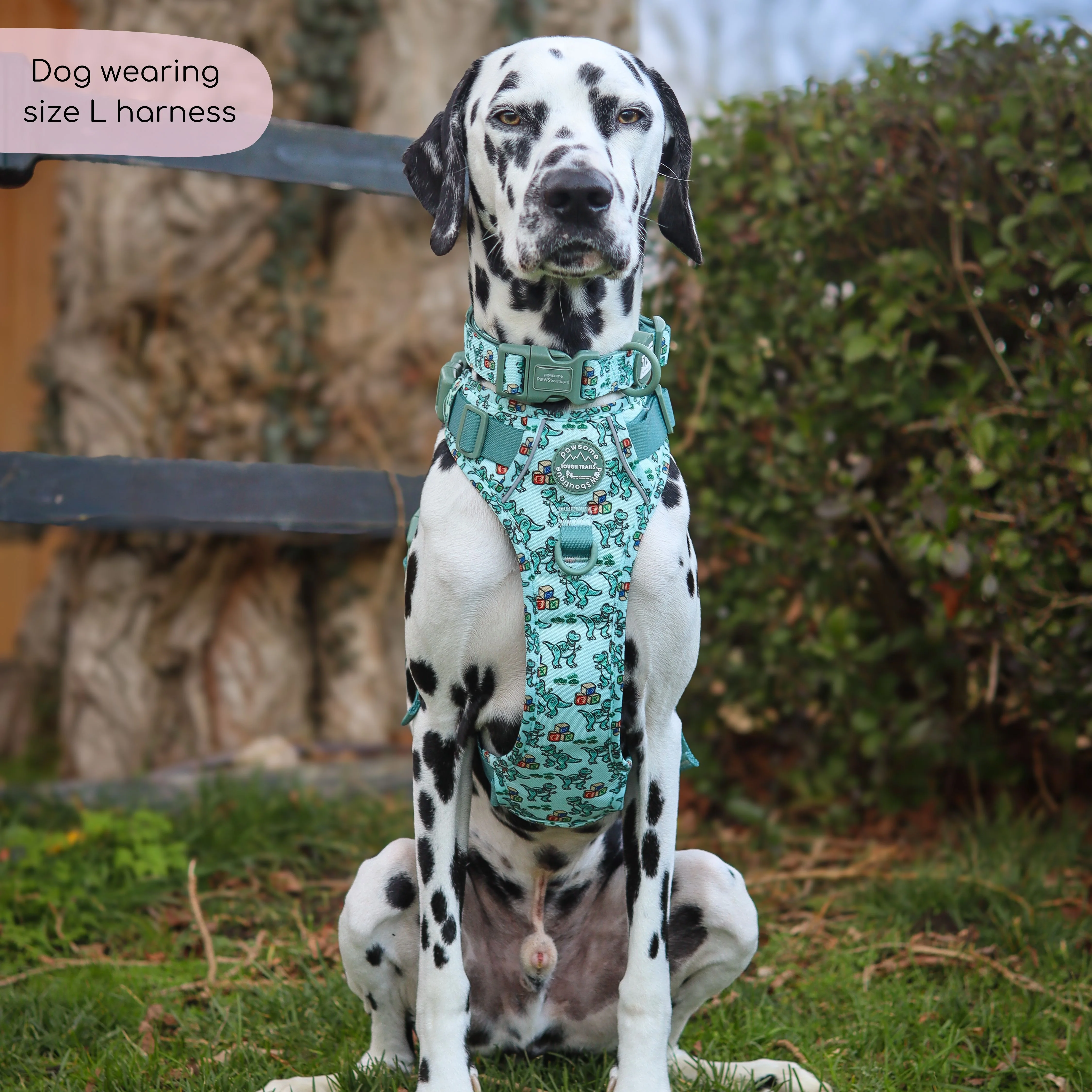 Disney© Tough Trails™ Harness - Rex - Image 15