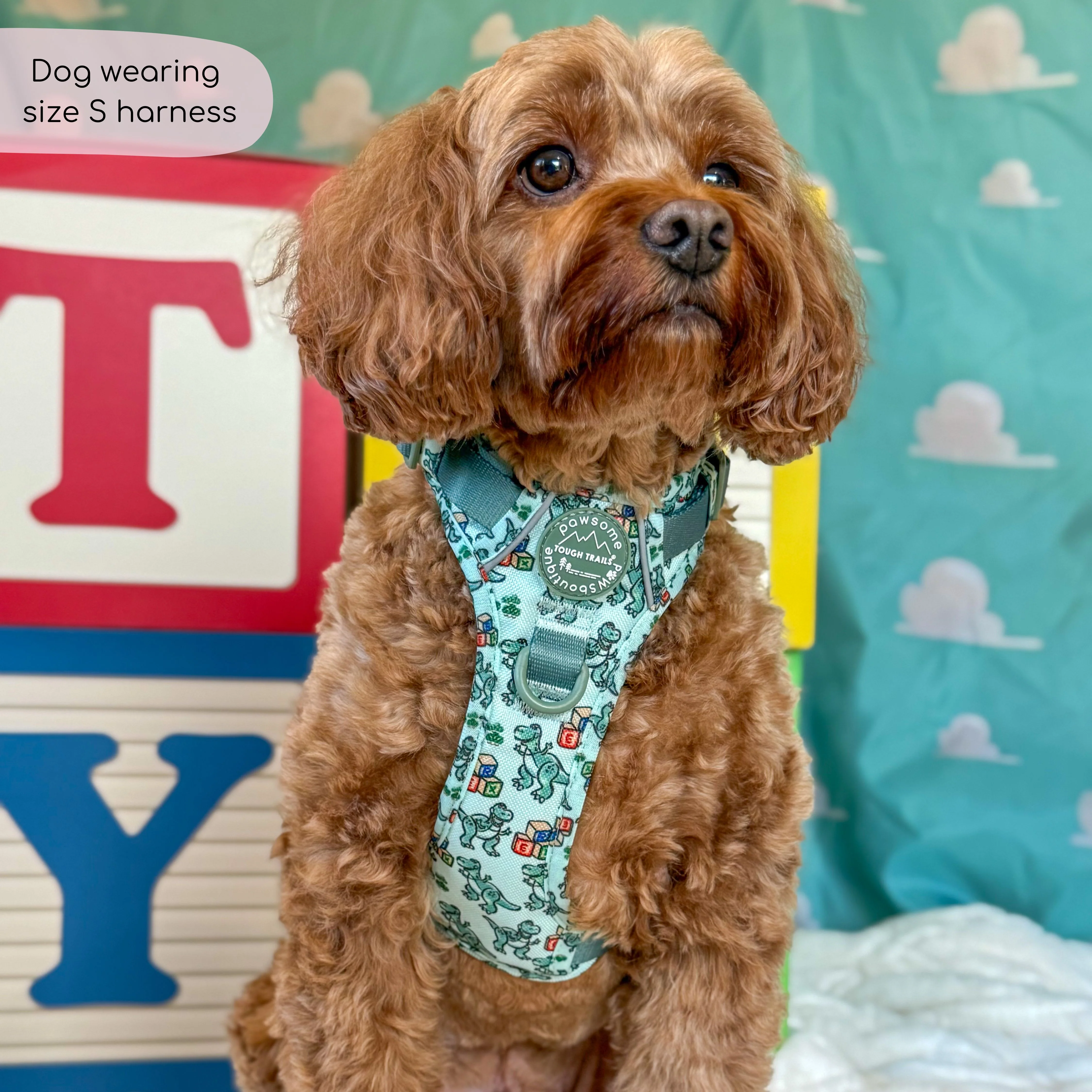 Disney© Tough Trails™ Harness - Rex - Image 5