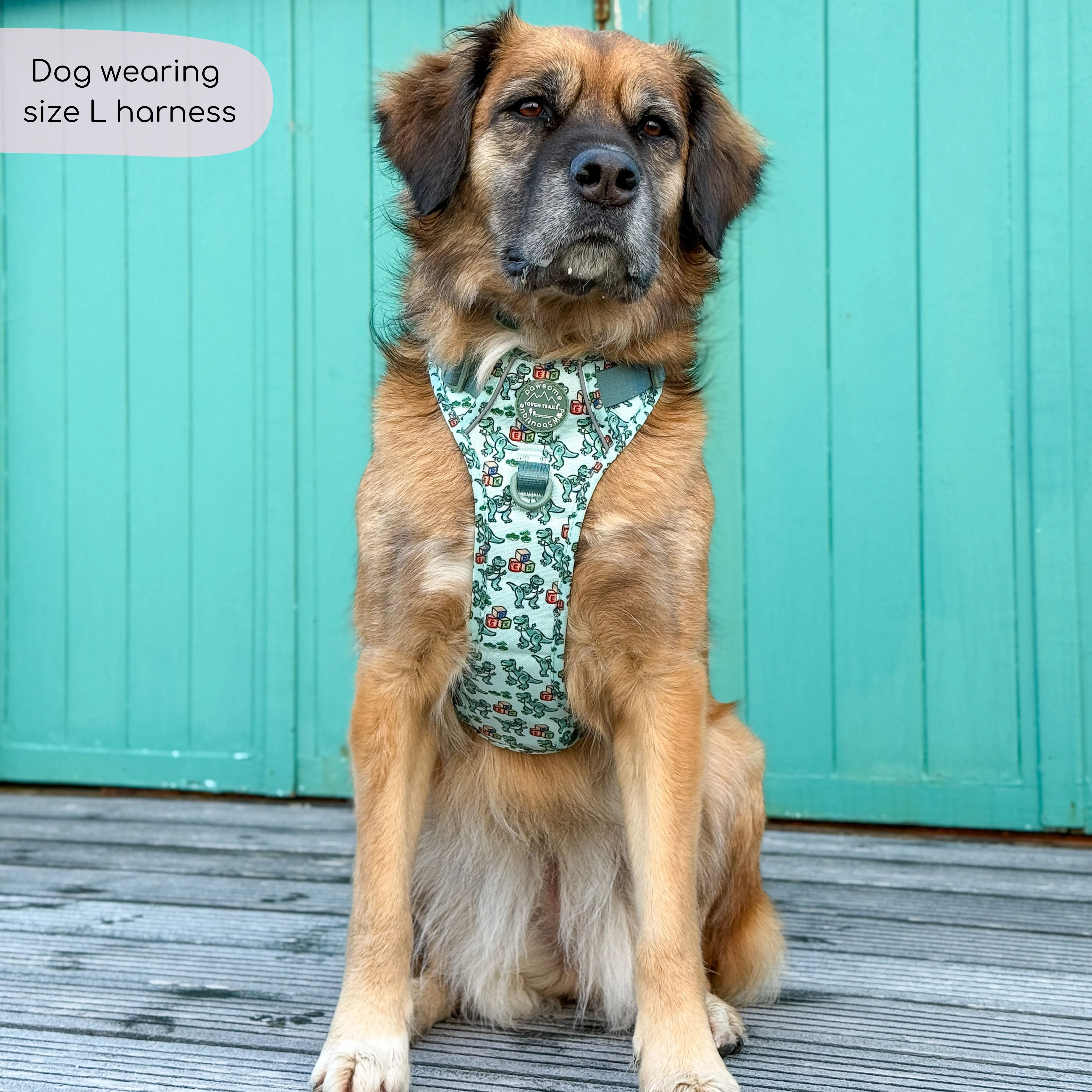 Disney© Tough Trails™ Harness - Rex - Image 7