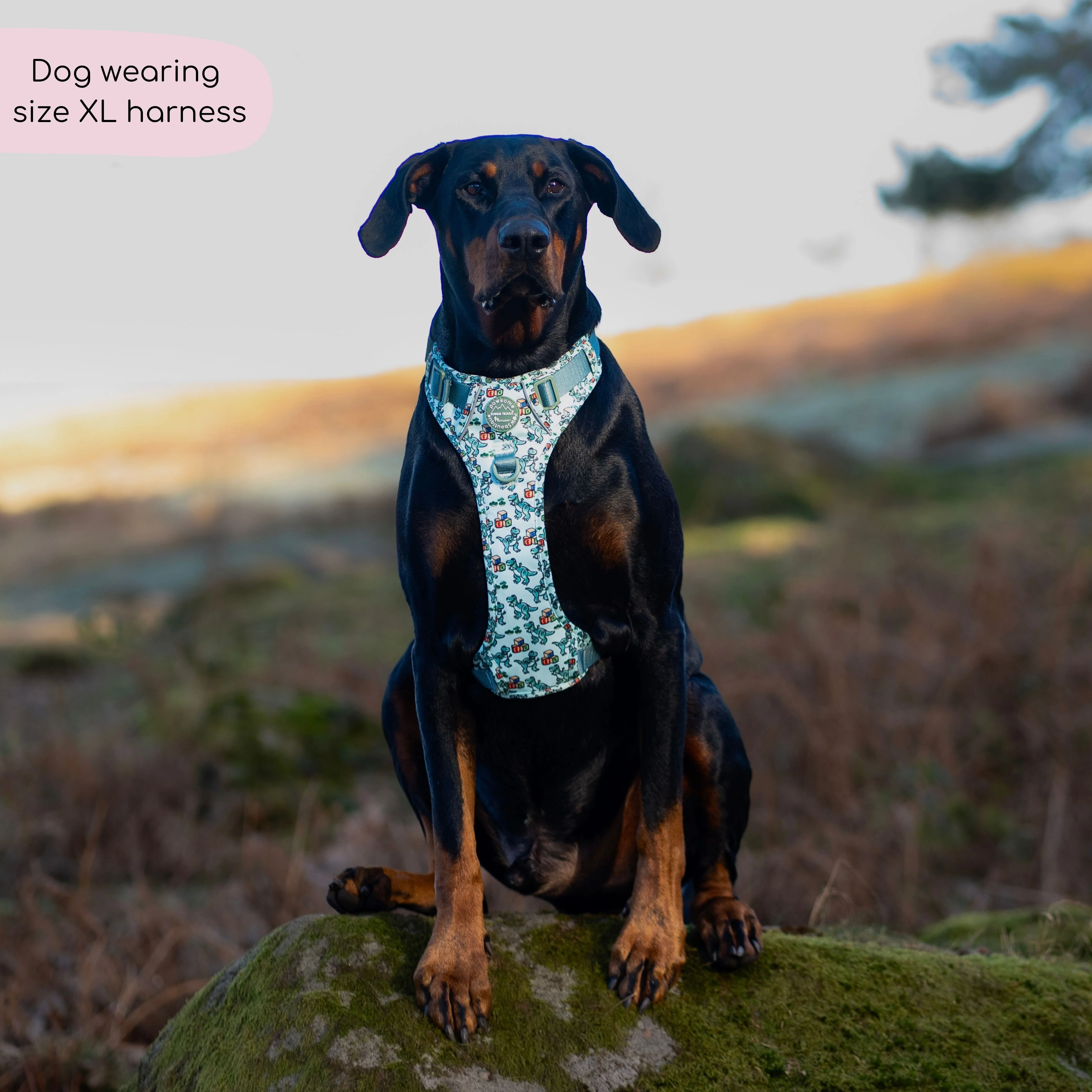 Disney© Tough Trails™ Harness - Rex - Image 8