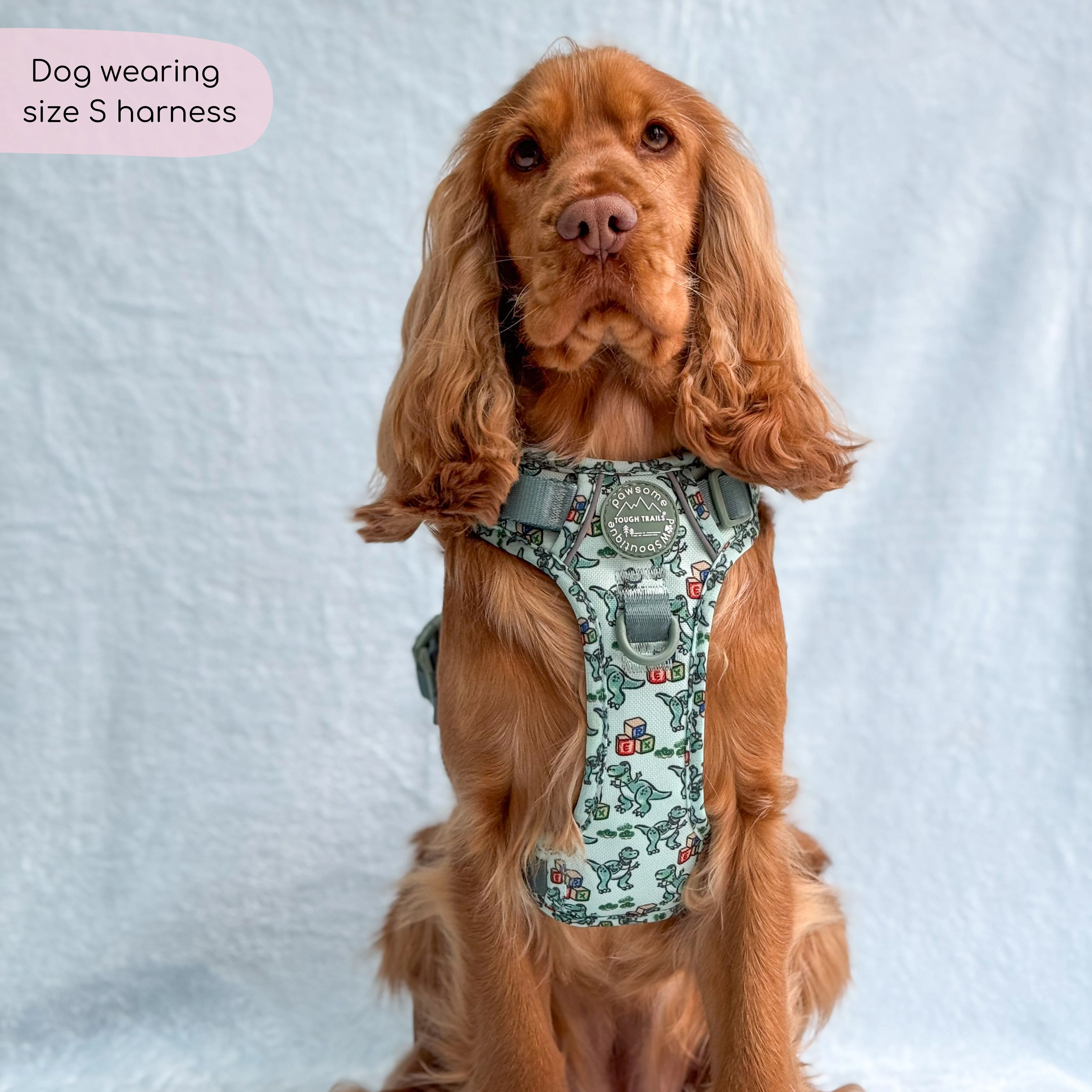 Disney© Tough Trails™ Harness - Rex - Image 9