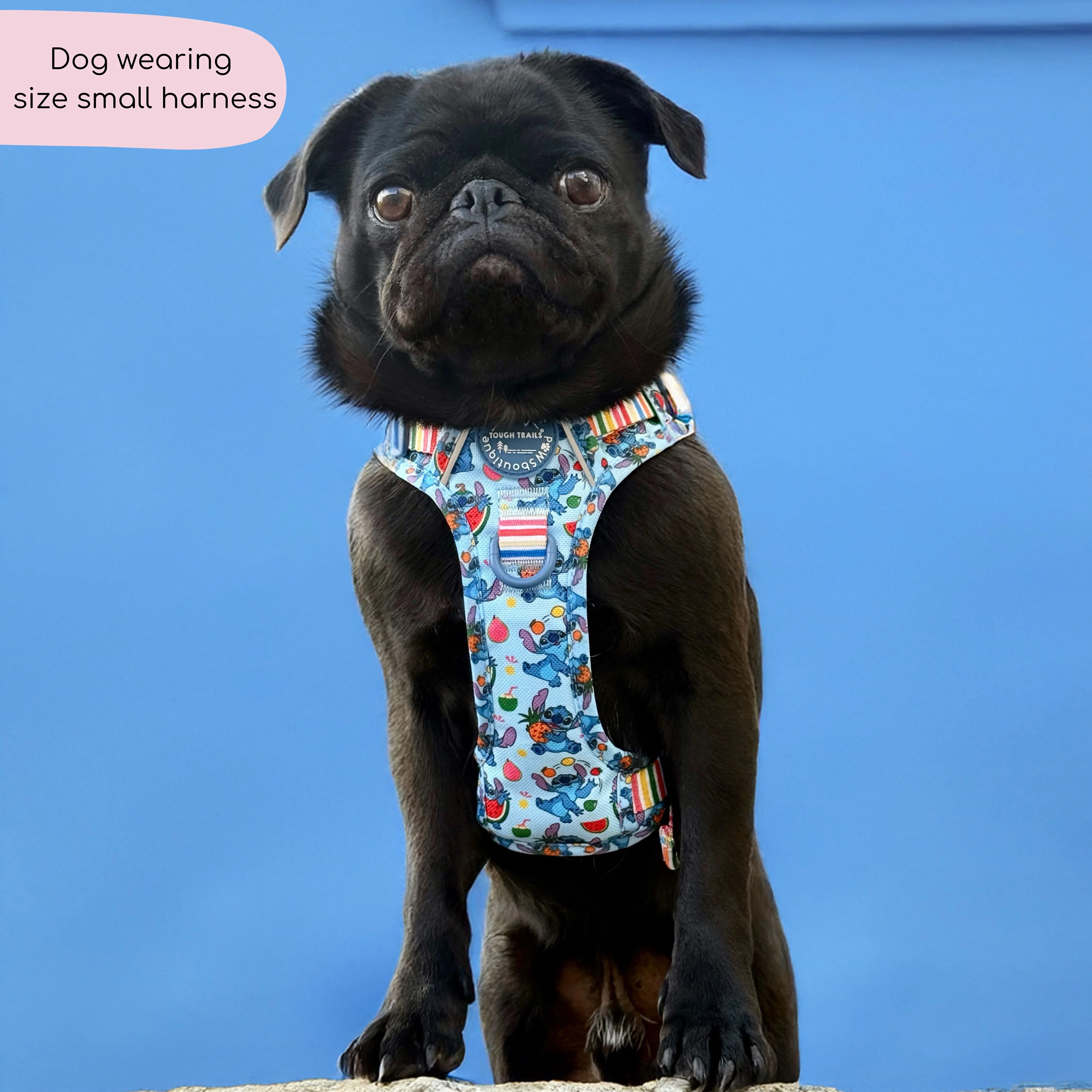 Disney© Tough Trails™ Harness - Stitch's Fruit Fiesta - Image 11