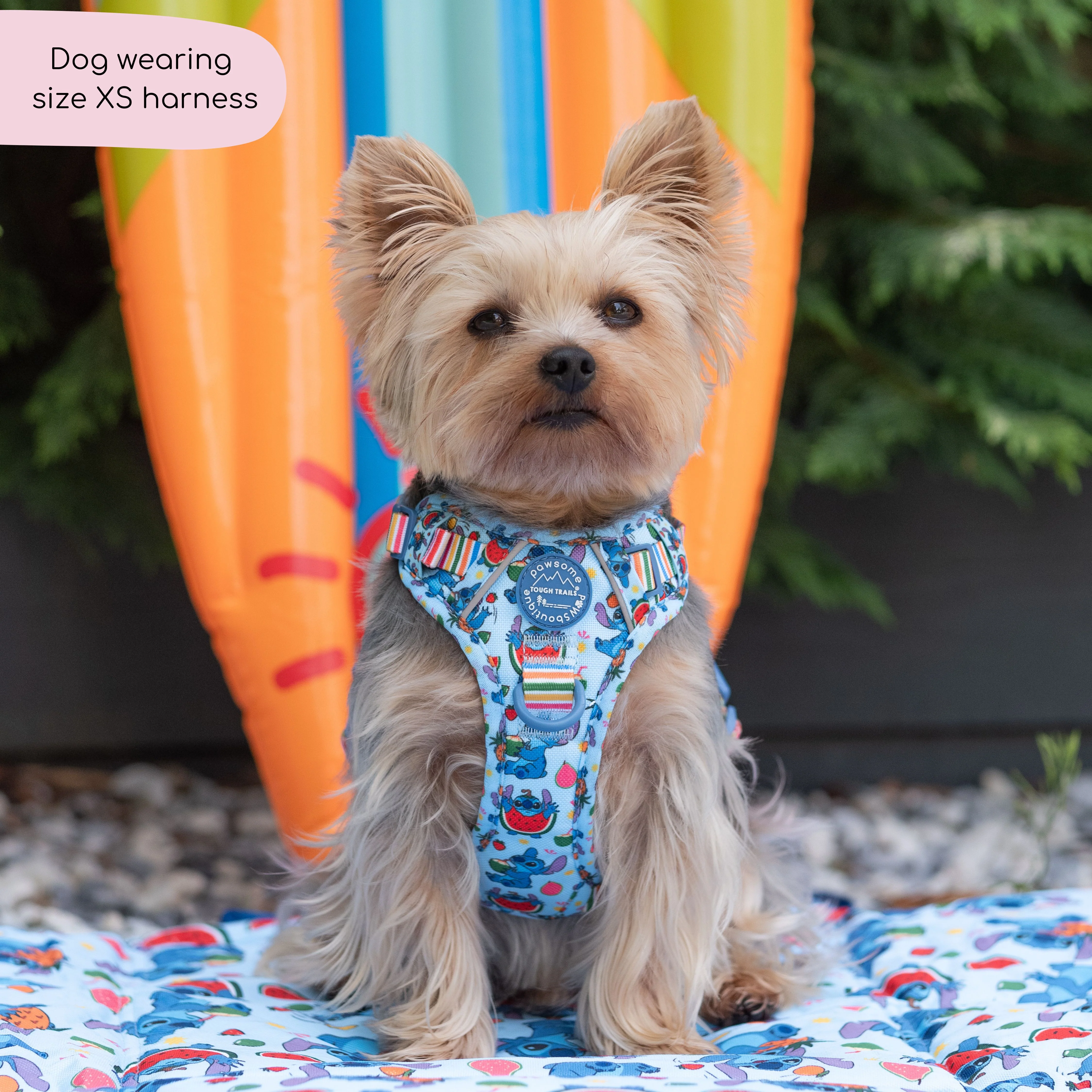 Disney© Tough Trails™ Harness - Stitch's Fruit Fiesta - Image 5