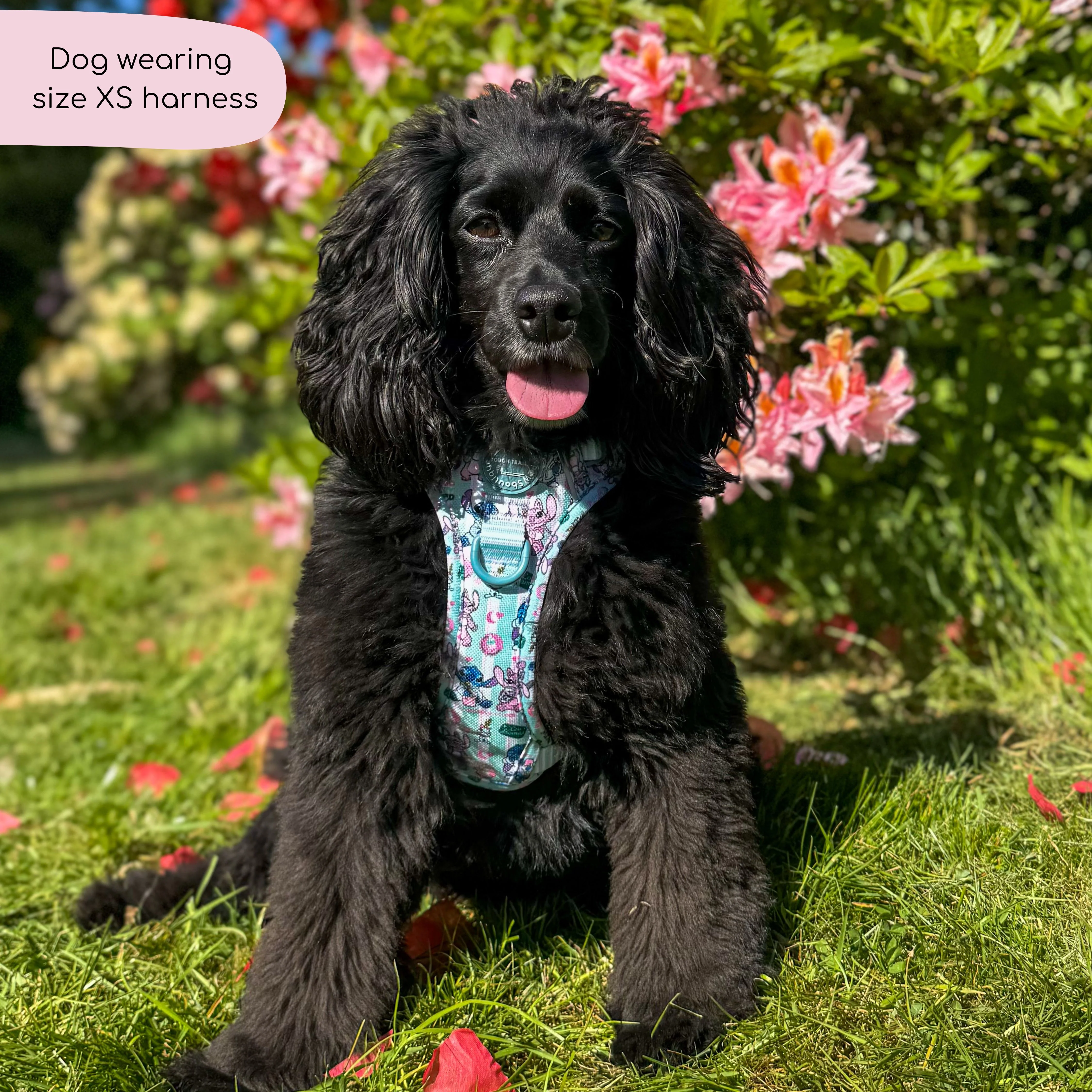Disney© Tough Trails™ Harness - Stitch's Slumber Party - Image 8