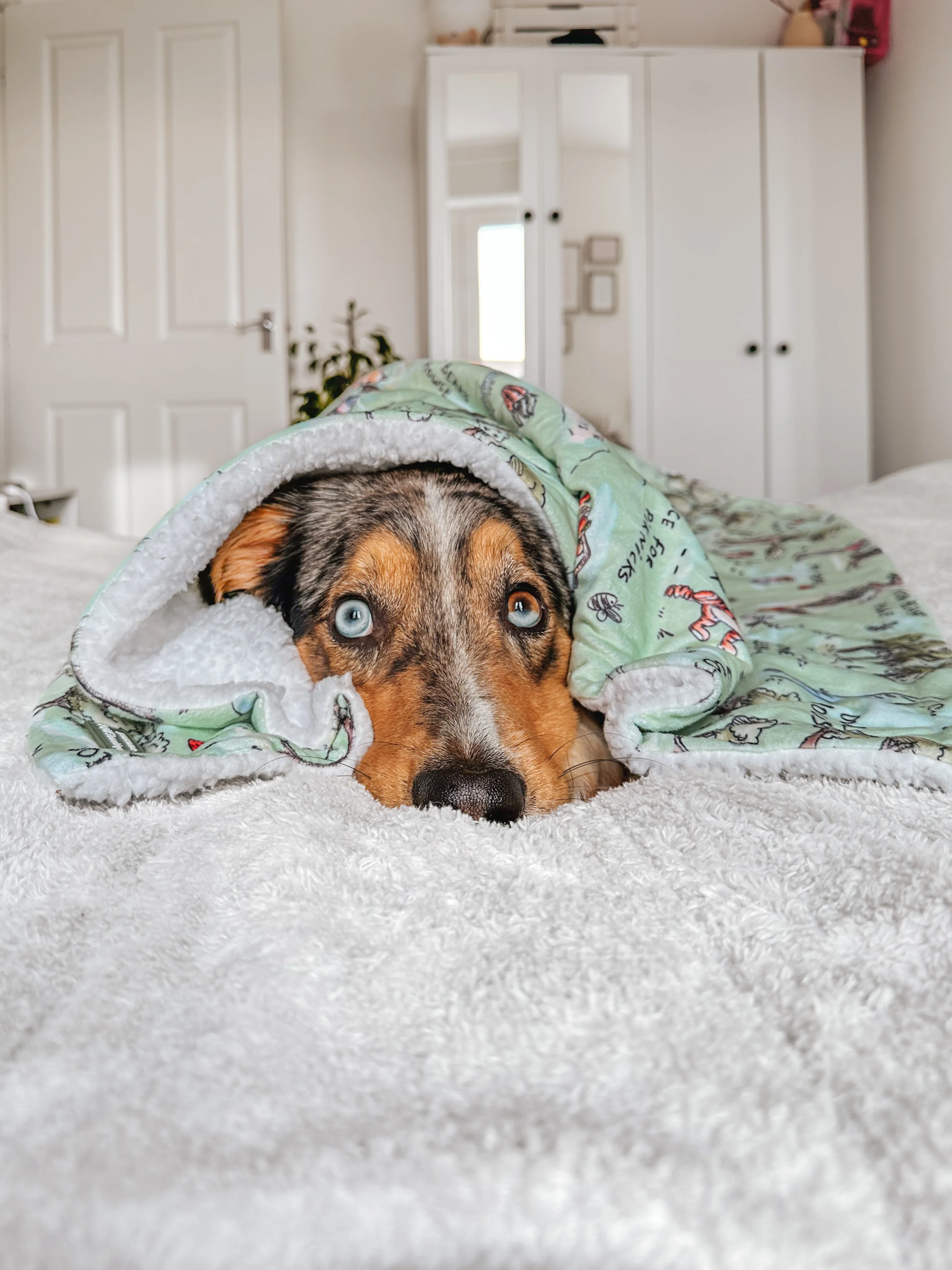 Disney© Dog Blanket - 100 Aker Wood - Image 4