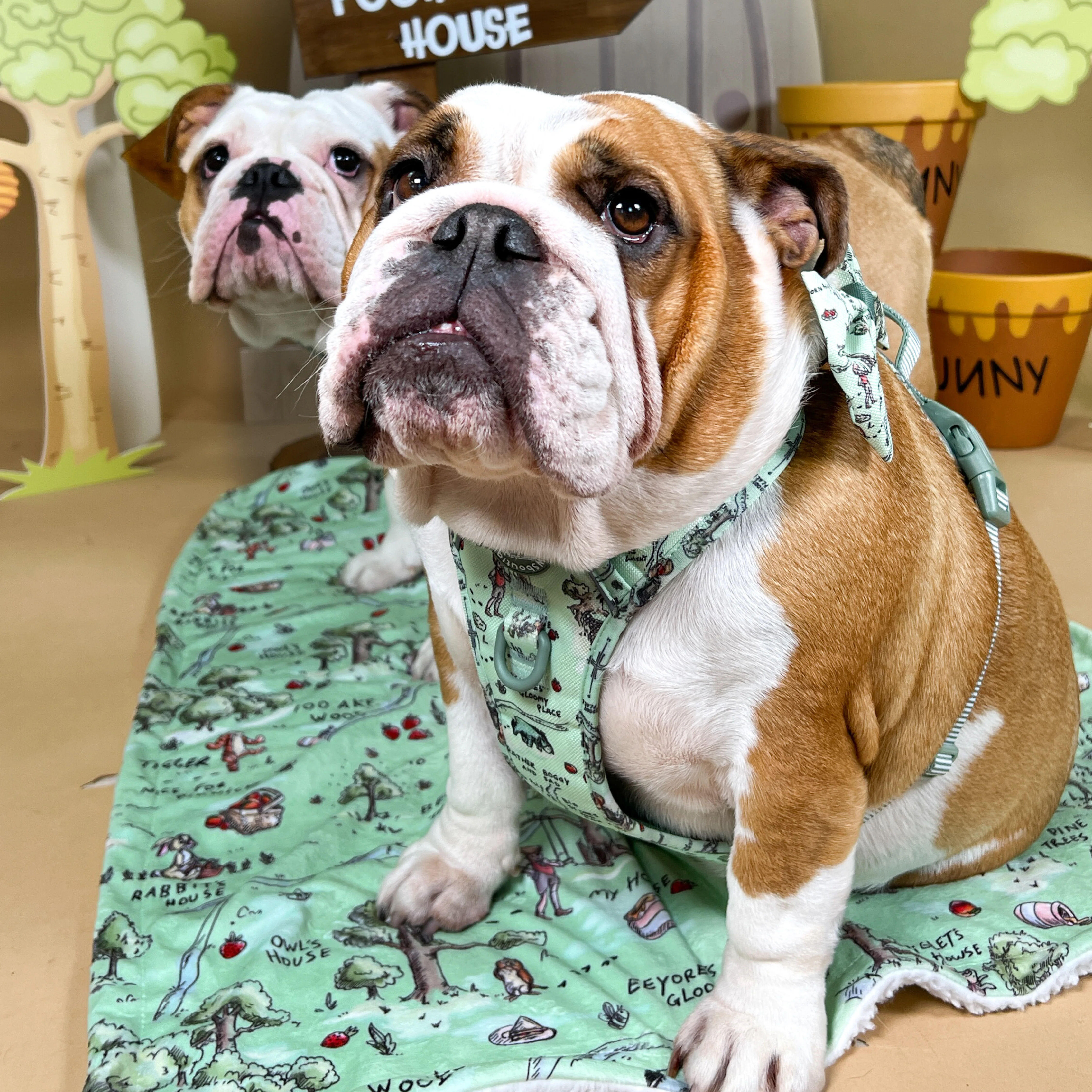 Disney© Dog Blanket - 100 Aker Wood - Image 7
