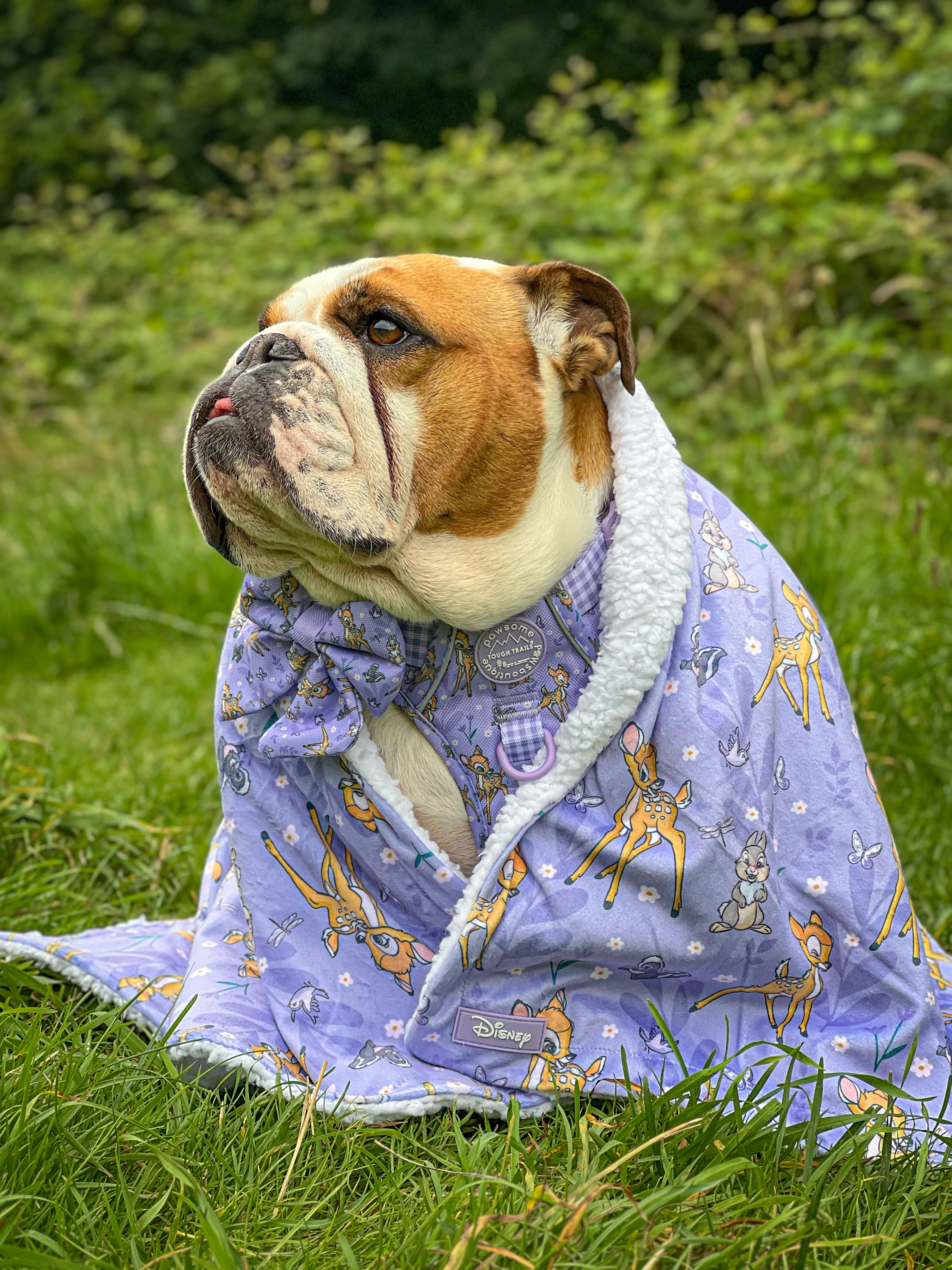 Disney© Dog Blanket - Bambi + Friends Lilac - Image 6