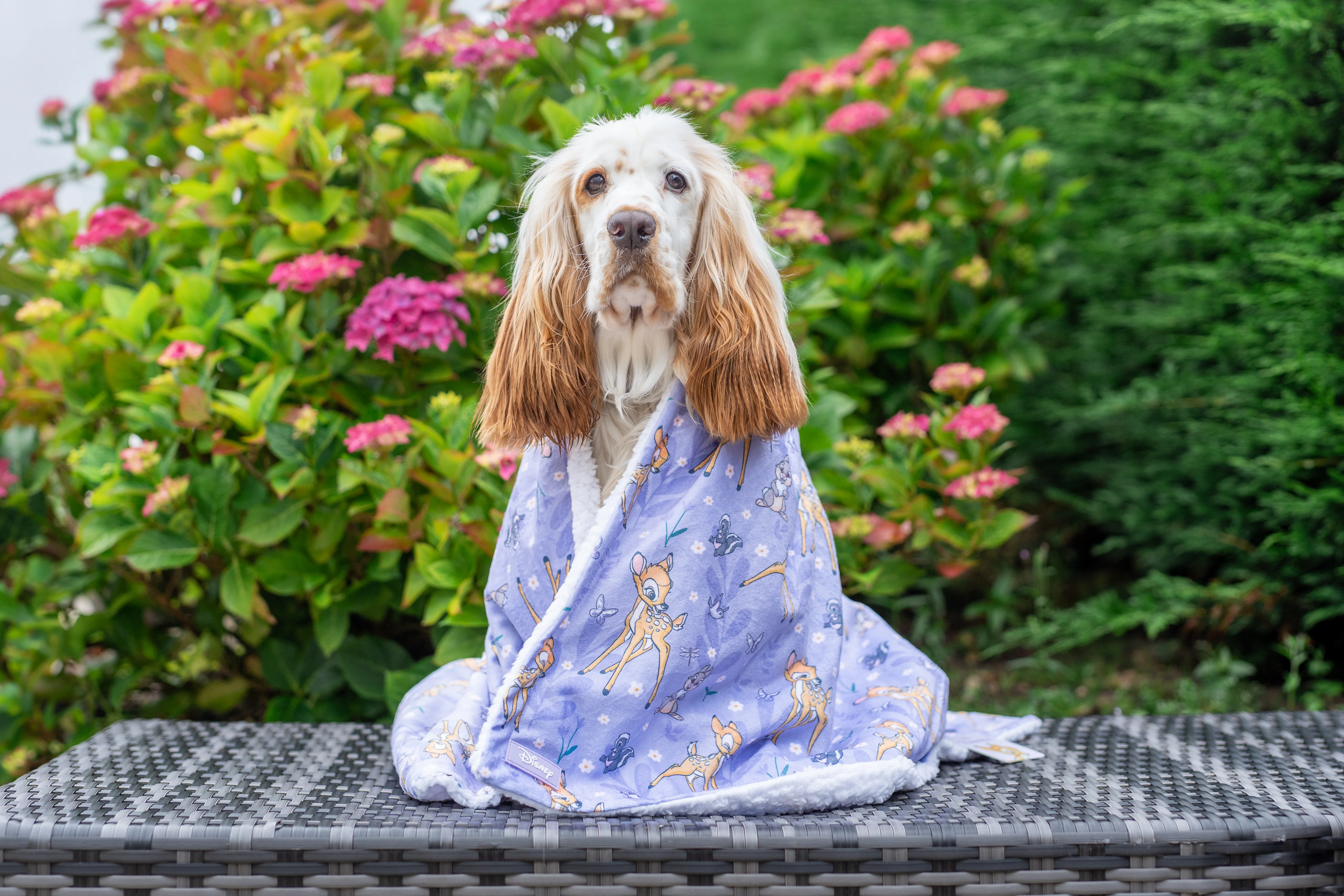 Disney© Dog Blanket - Bambi + Friends Lilac - Image 7