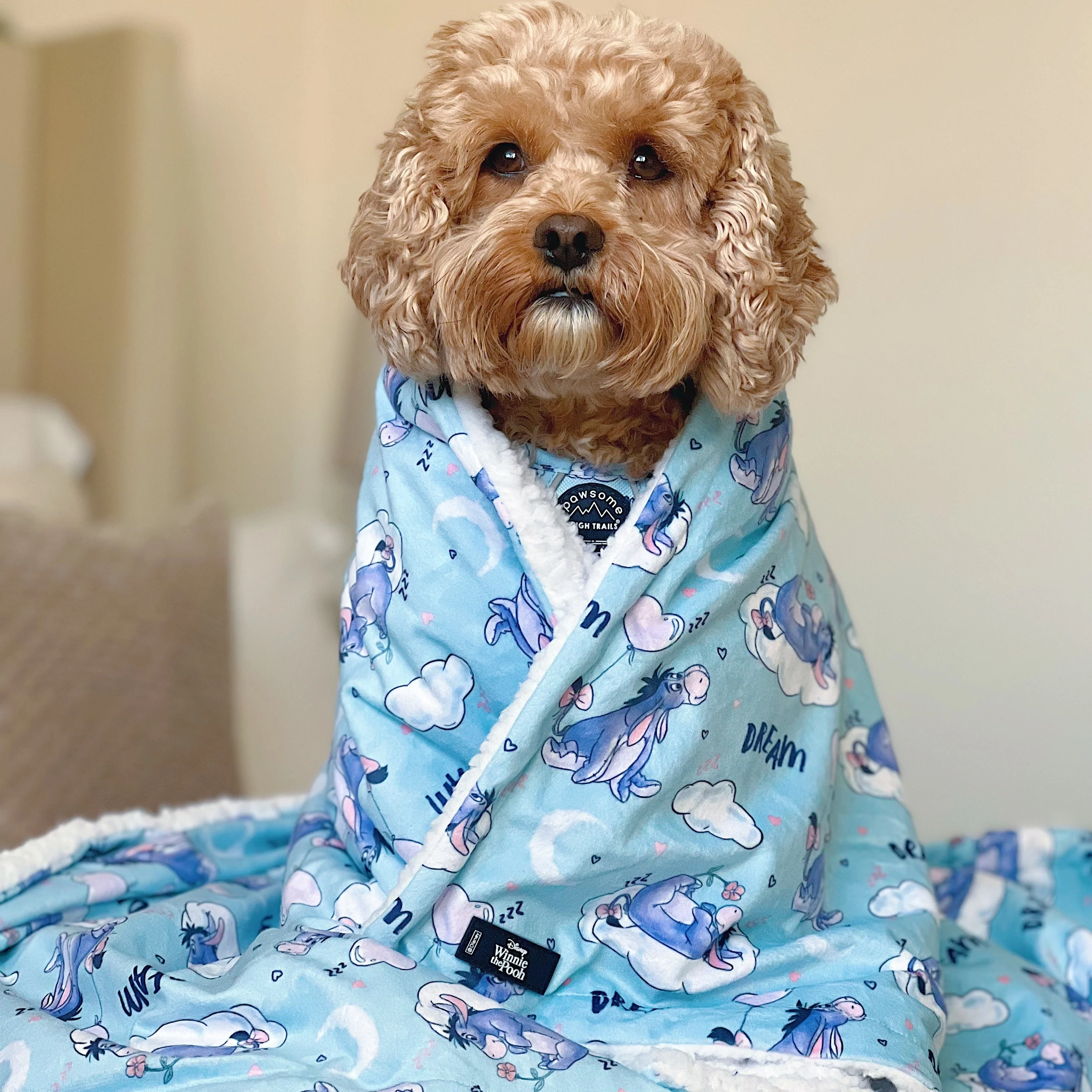 Disney© Dog Blanket - Eeyore - Image 11