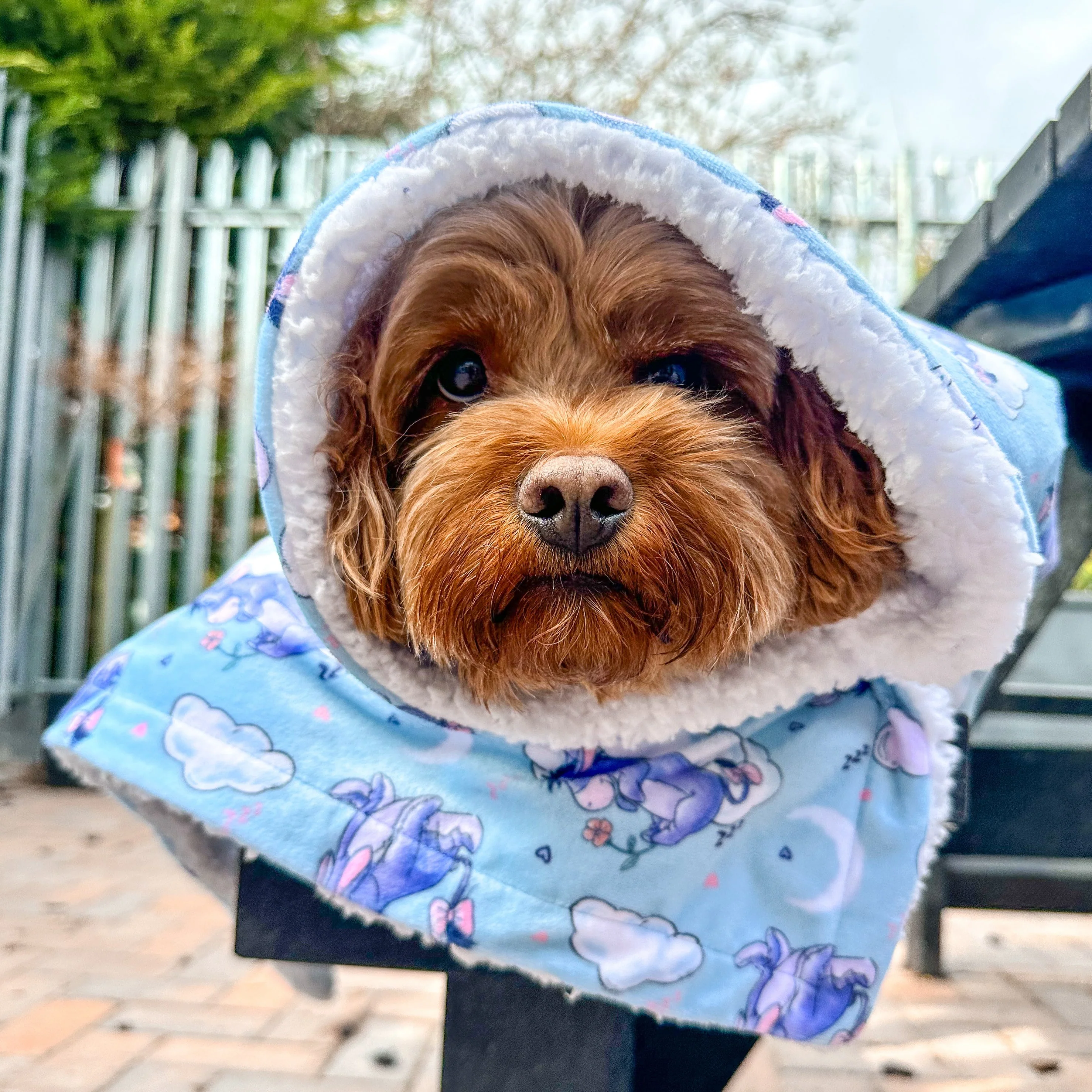 Disney© Dog Blanket - Eeyore - Image 12