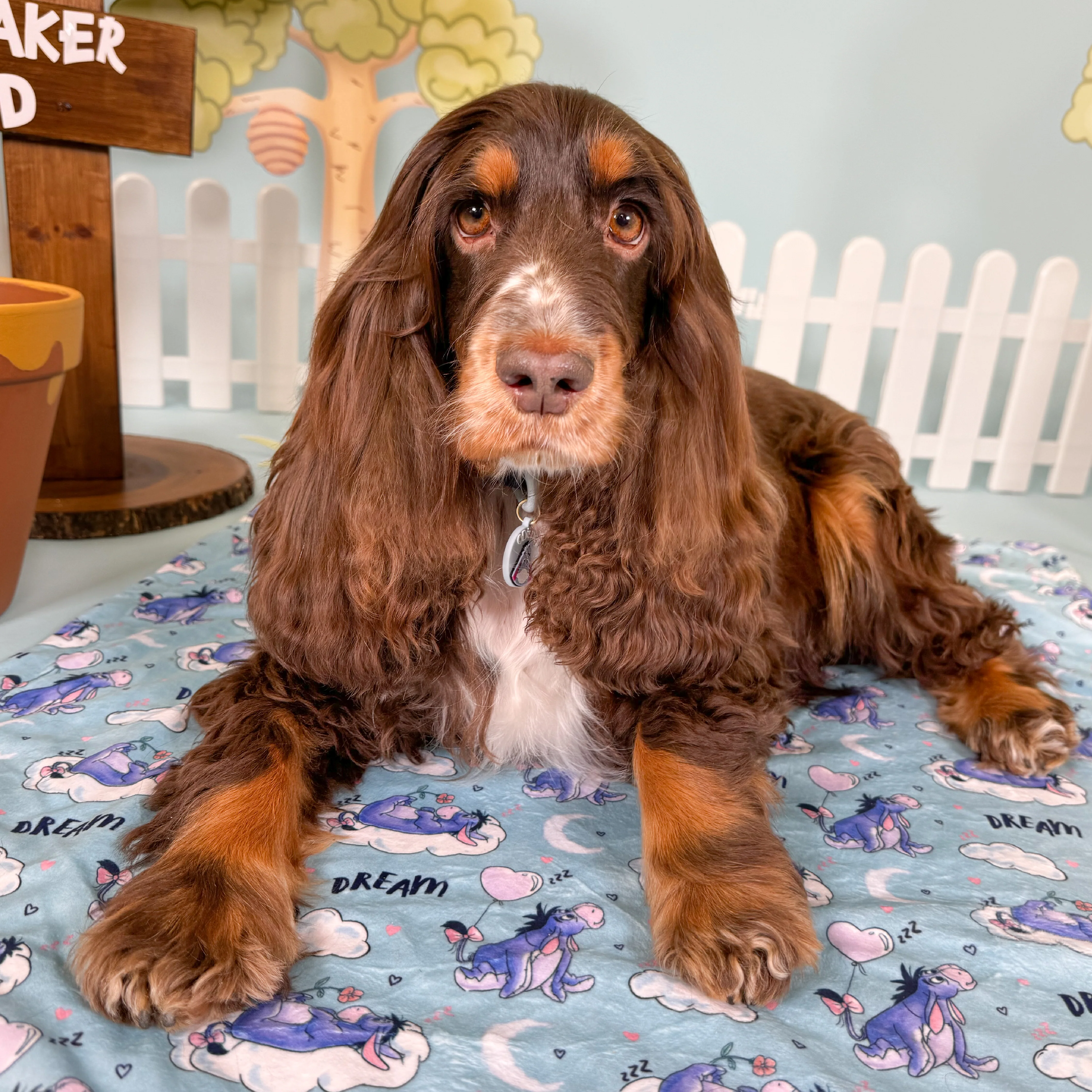 Disney© Dog Blanket - Eeyore - Image 3