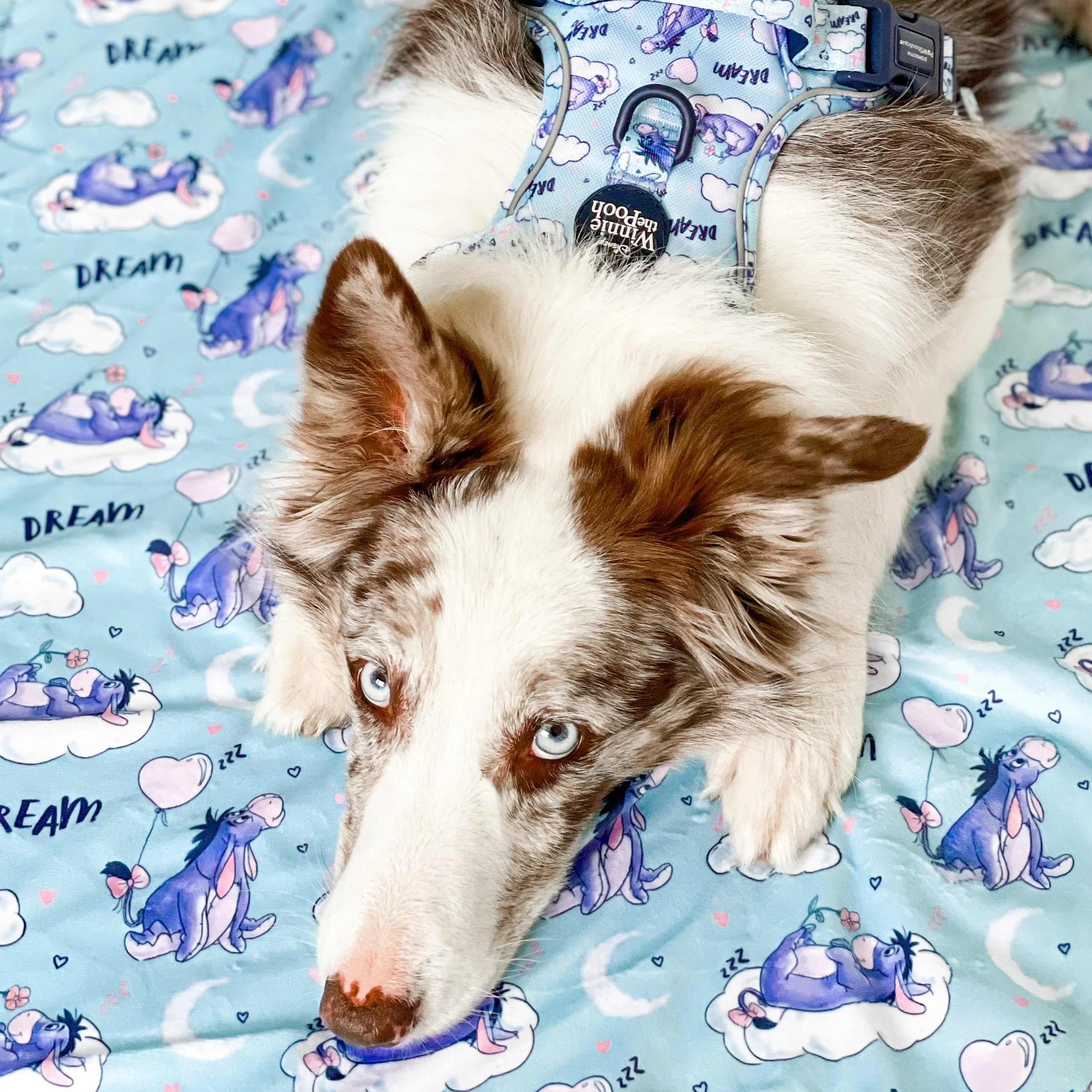 Disney© Dog Blanket - Eeyore - Image 6