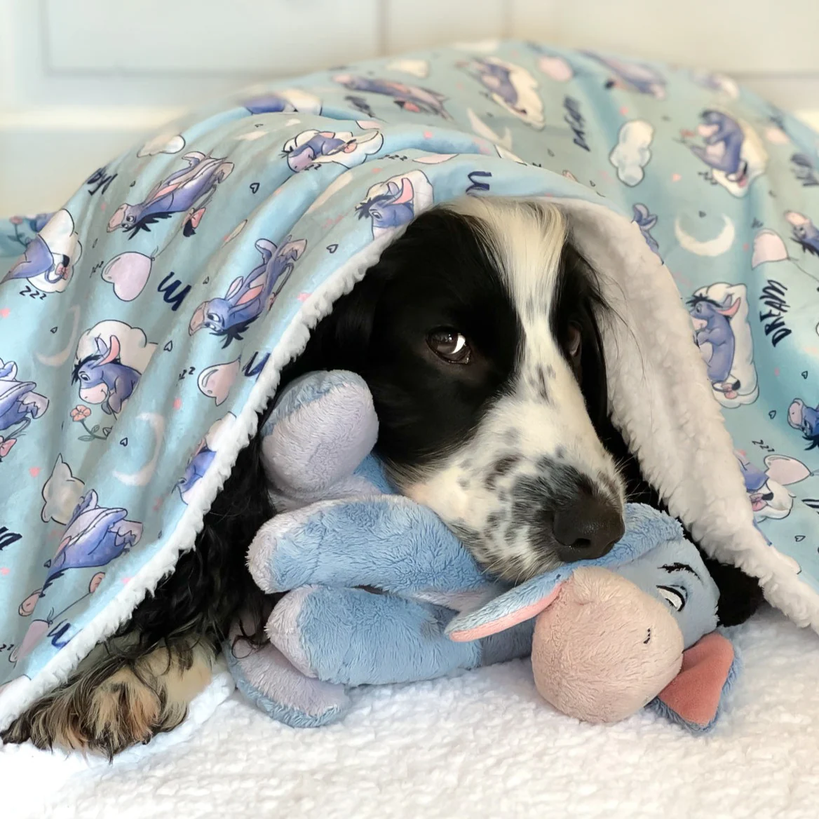Disney© Dog Blanket - Eeyore - Image 9
