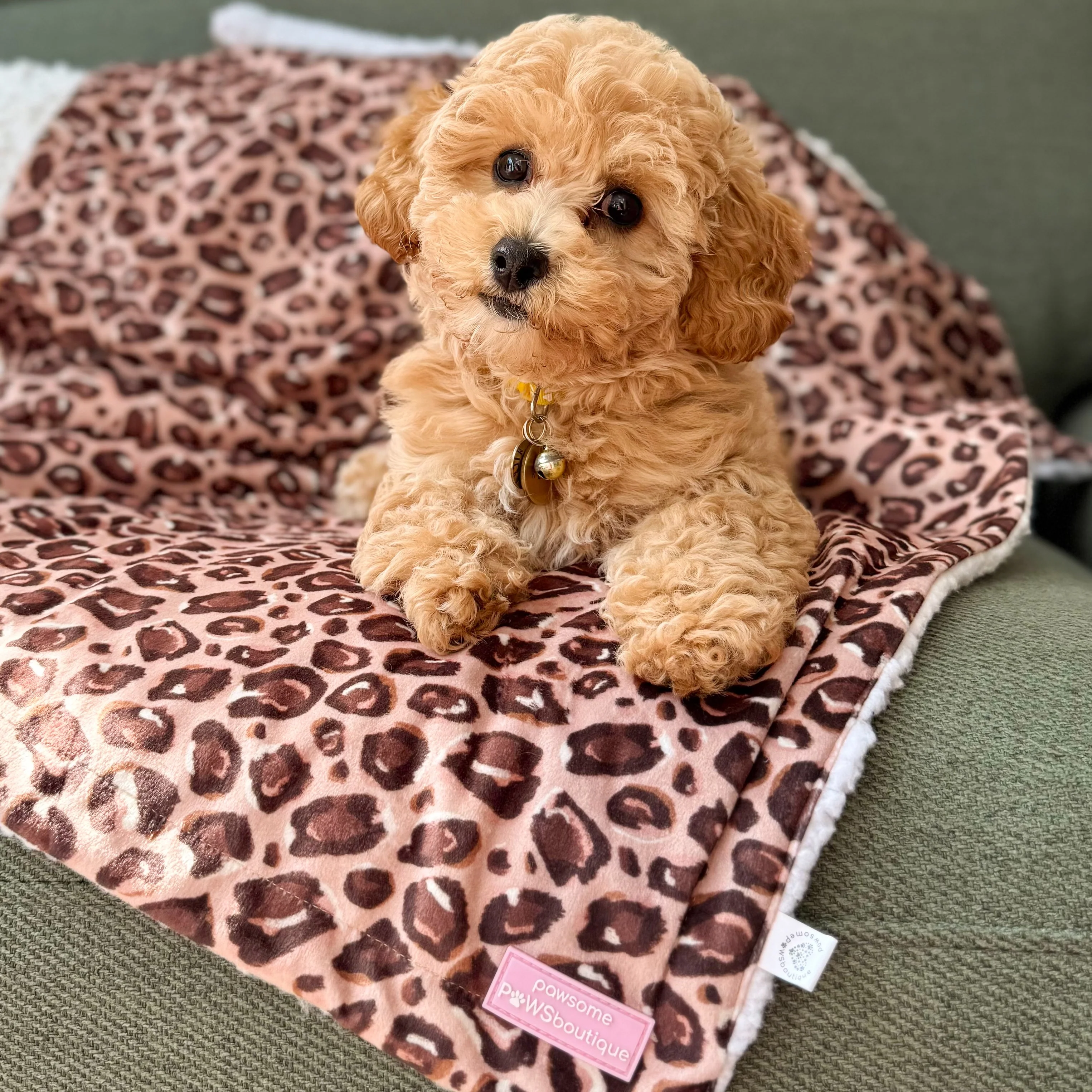 Dog Blanket - Leopard Print - Image 4