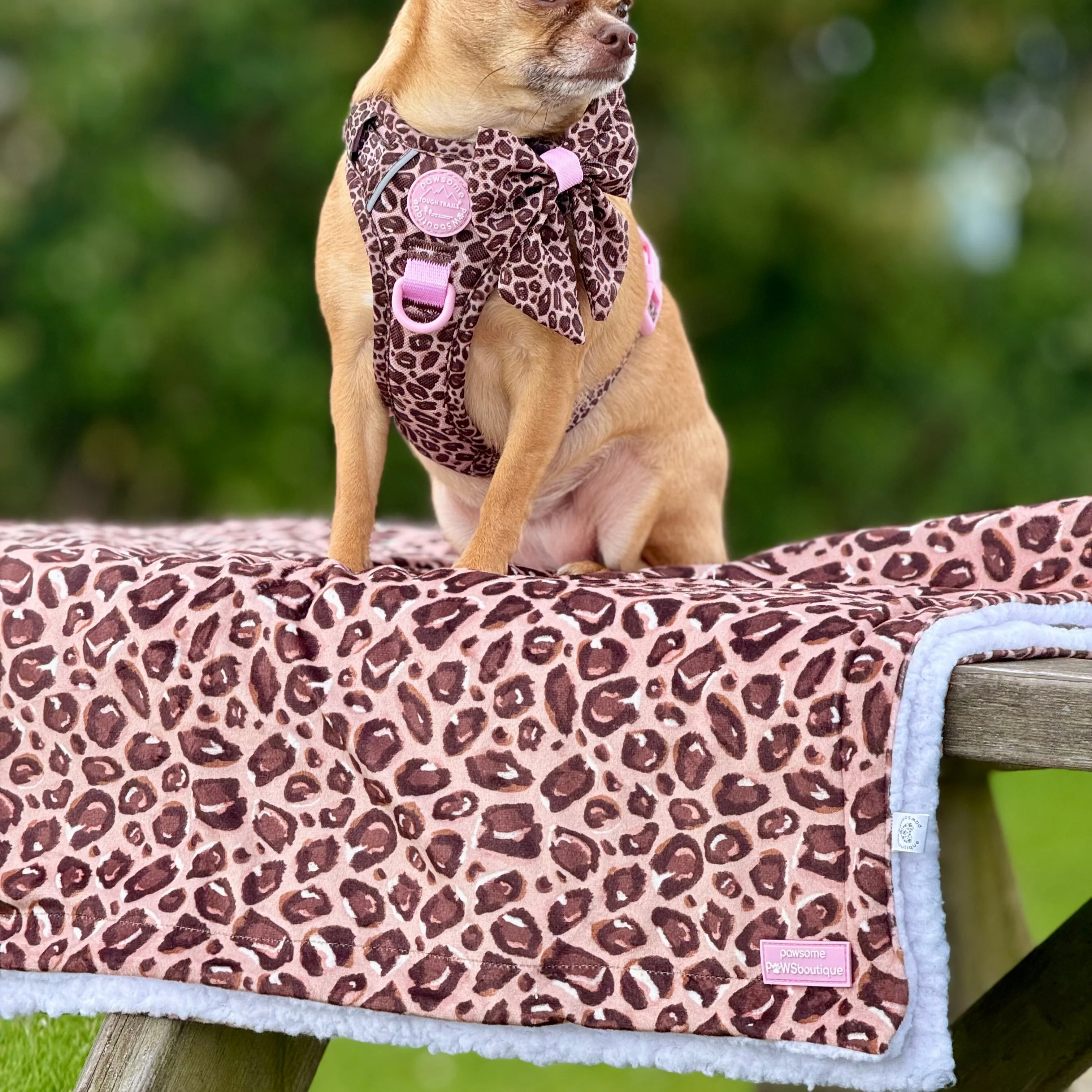 Dog Blanket - Leopard Print - Image 5