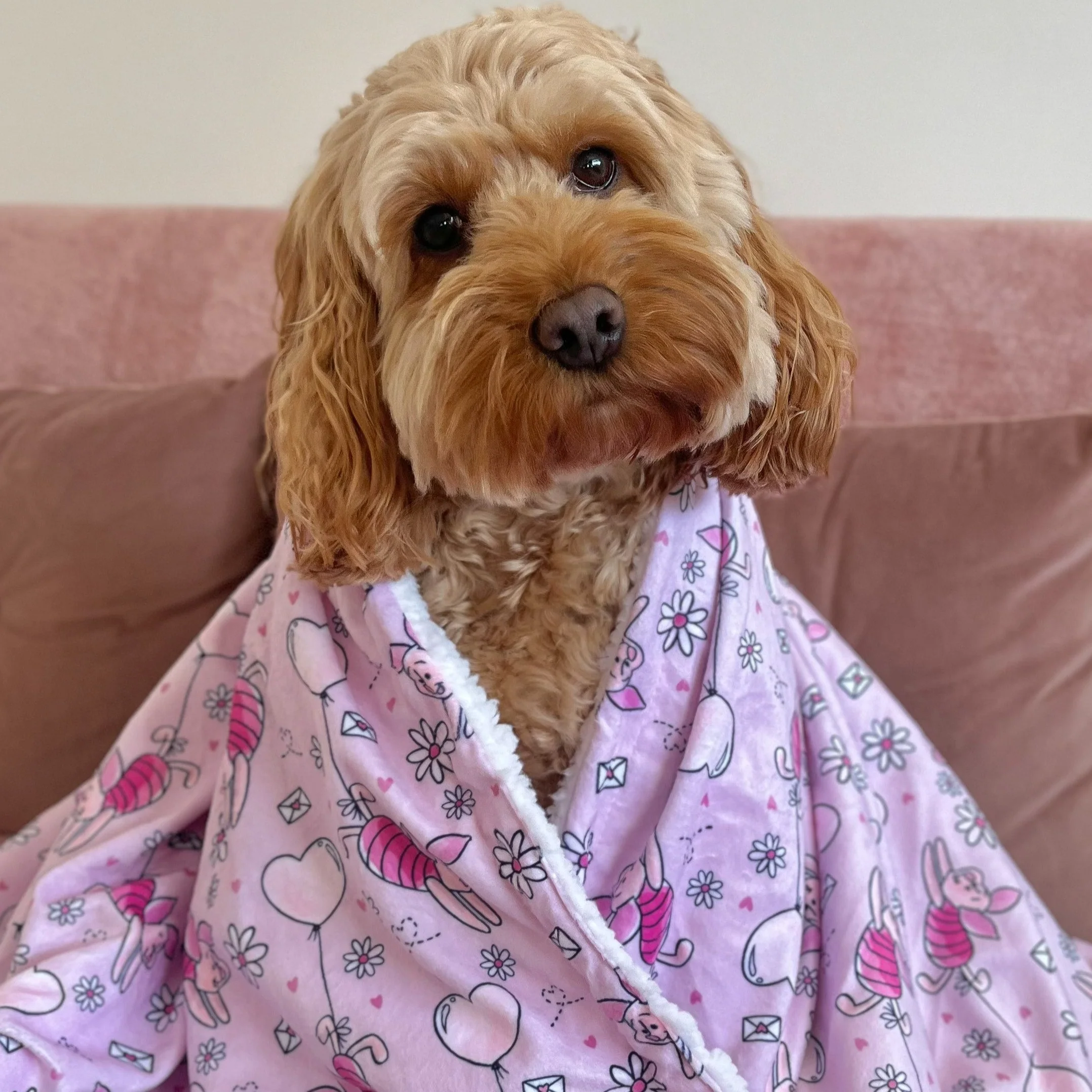 Disney© Dog Blanket - Piglet - Image 11