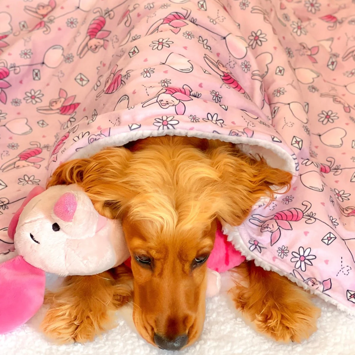 Disney© Dog Blanket - Piglet - Image 12
