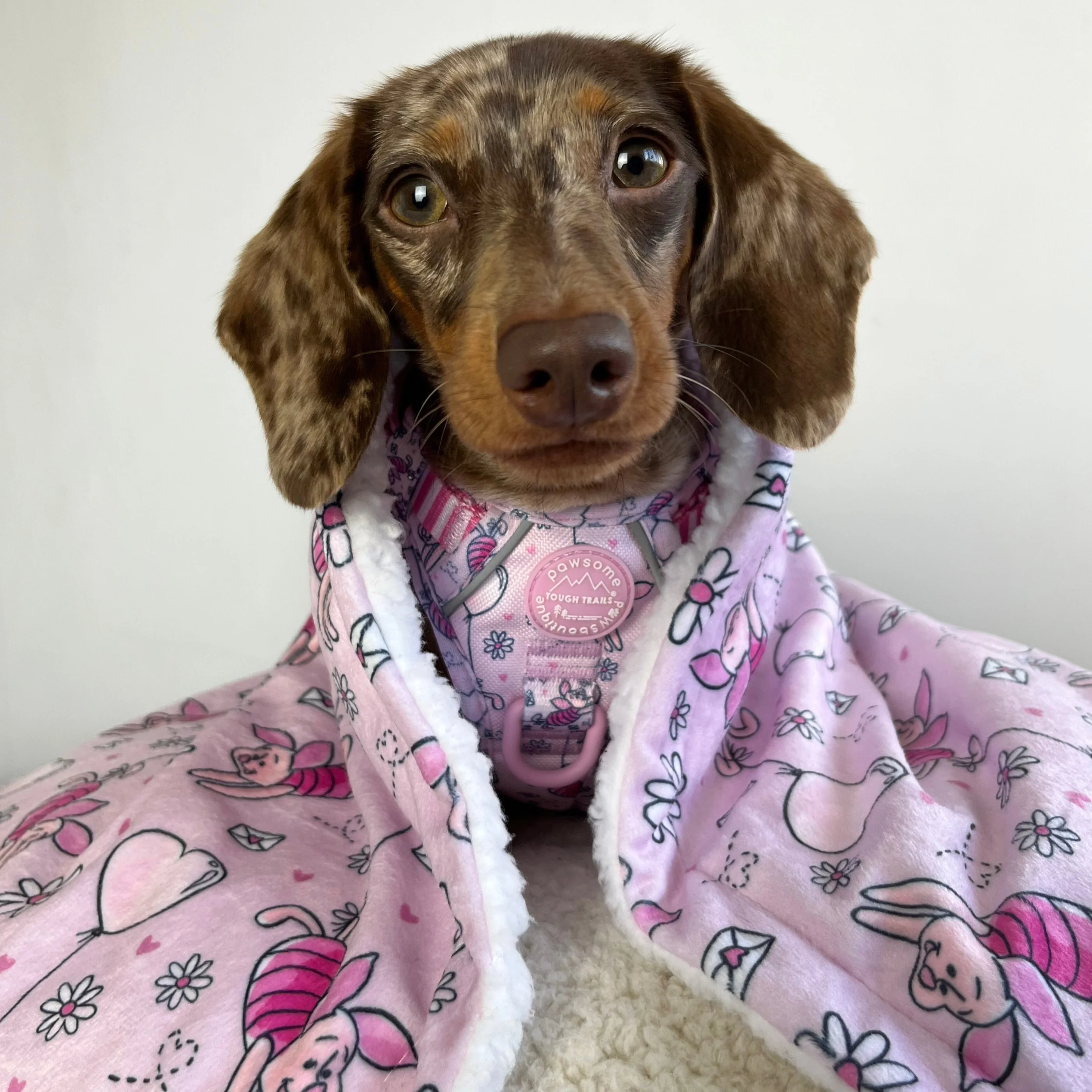 Disney© Dog Blanket - Piglet - Image 13