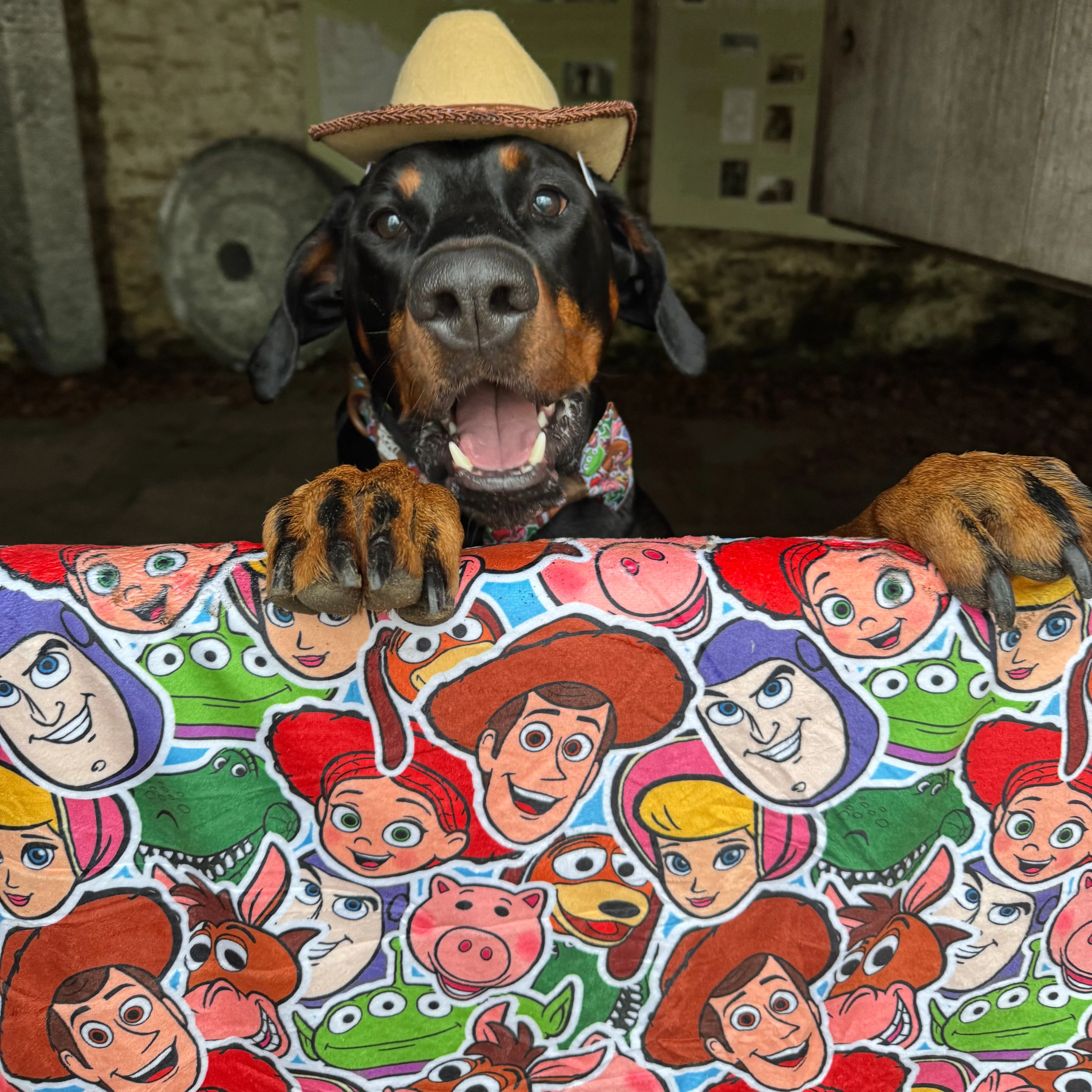 Disney© Dog Blanket - Toy Story Friends - Image 11