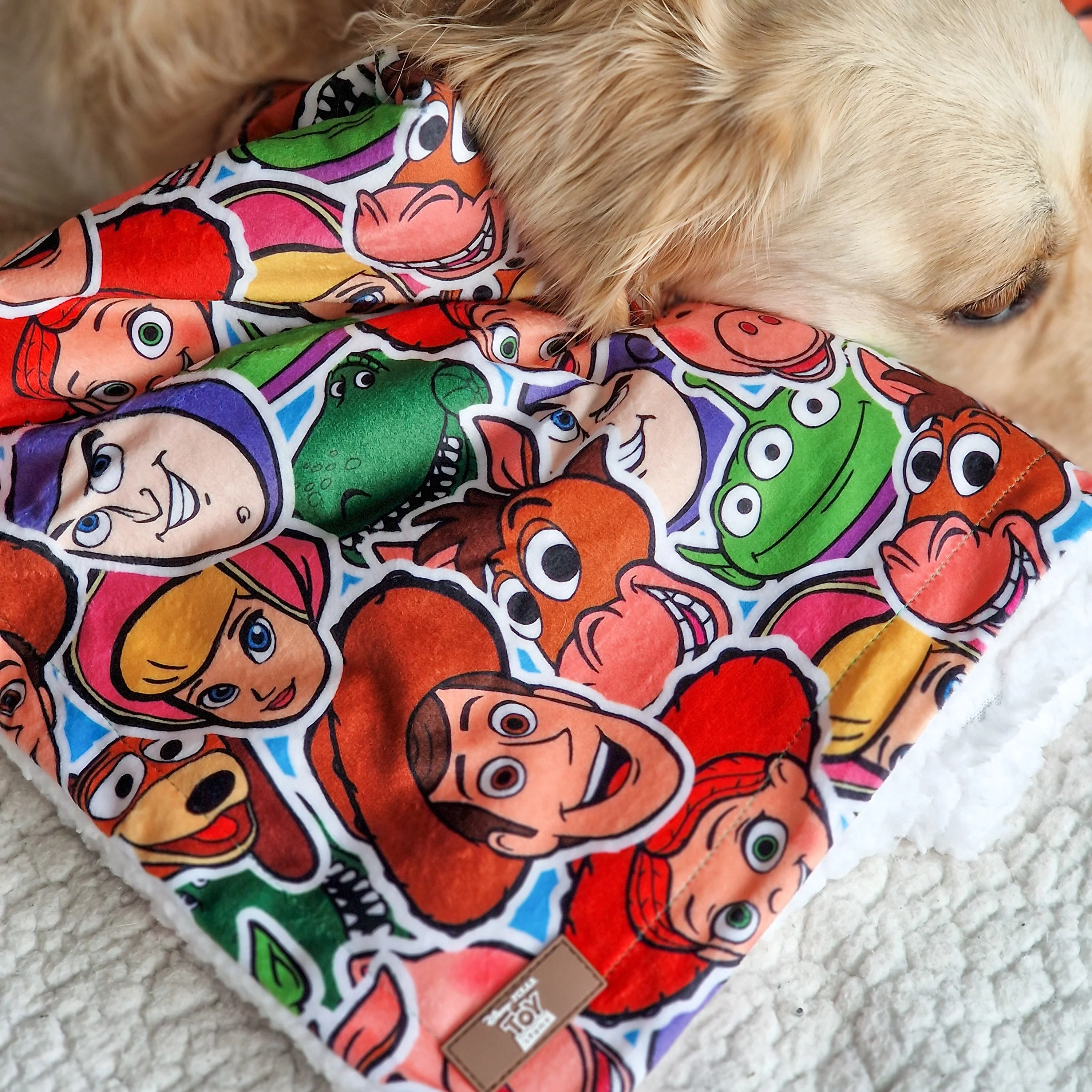 Disney© Dog Blanket - Toy Story Friends - Image 6