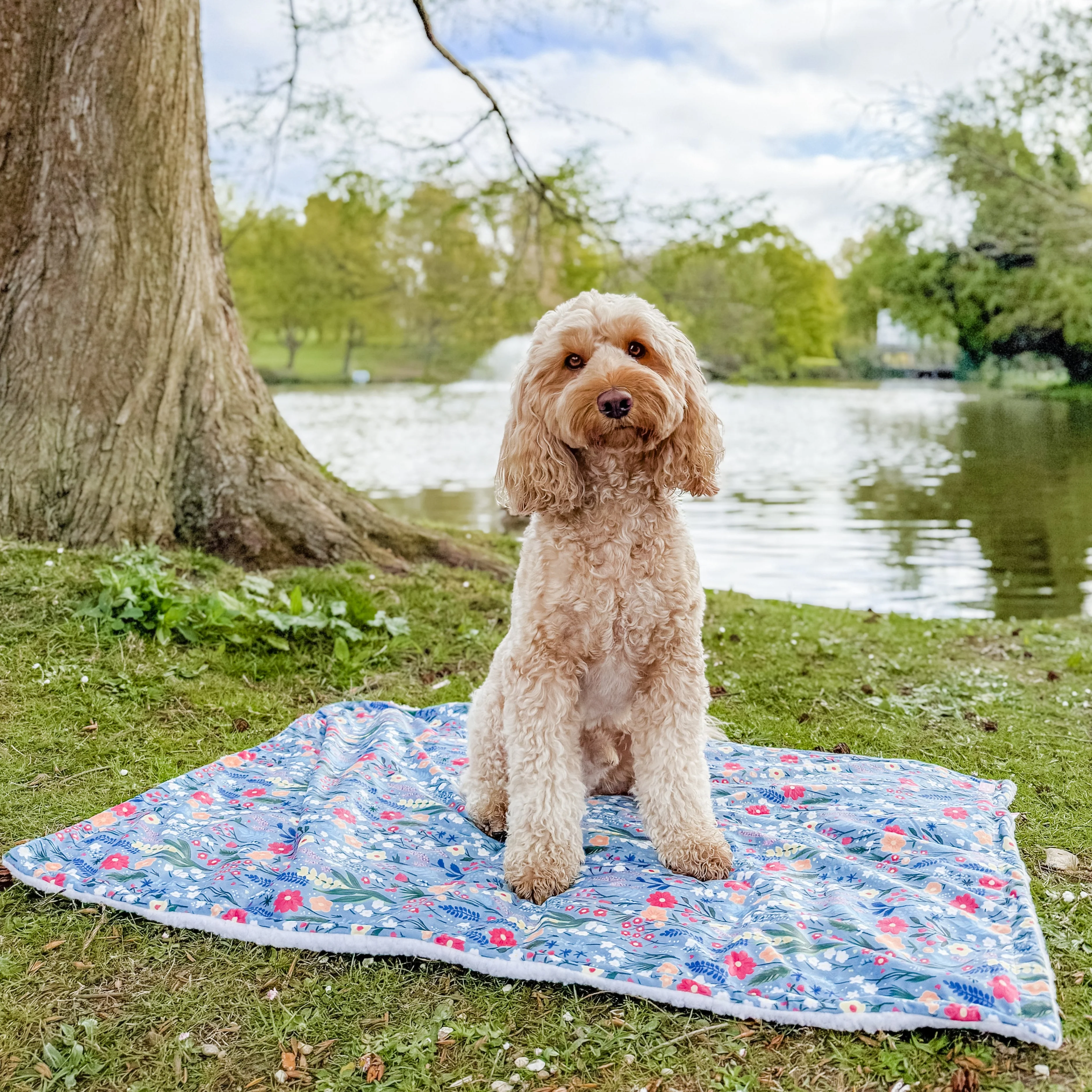 Dog Blanket -  Whimsical Wildflowers - Image 3