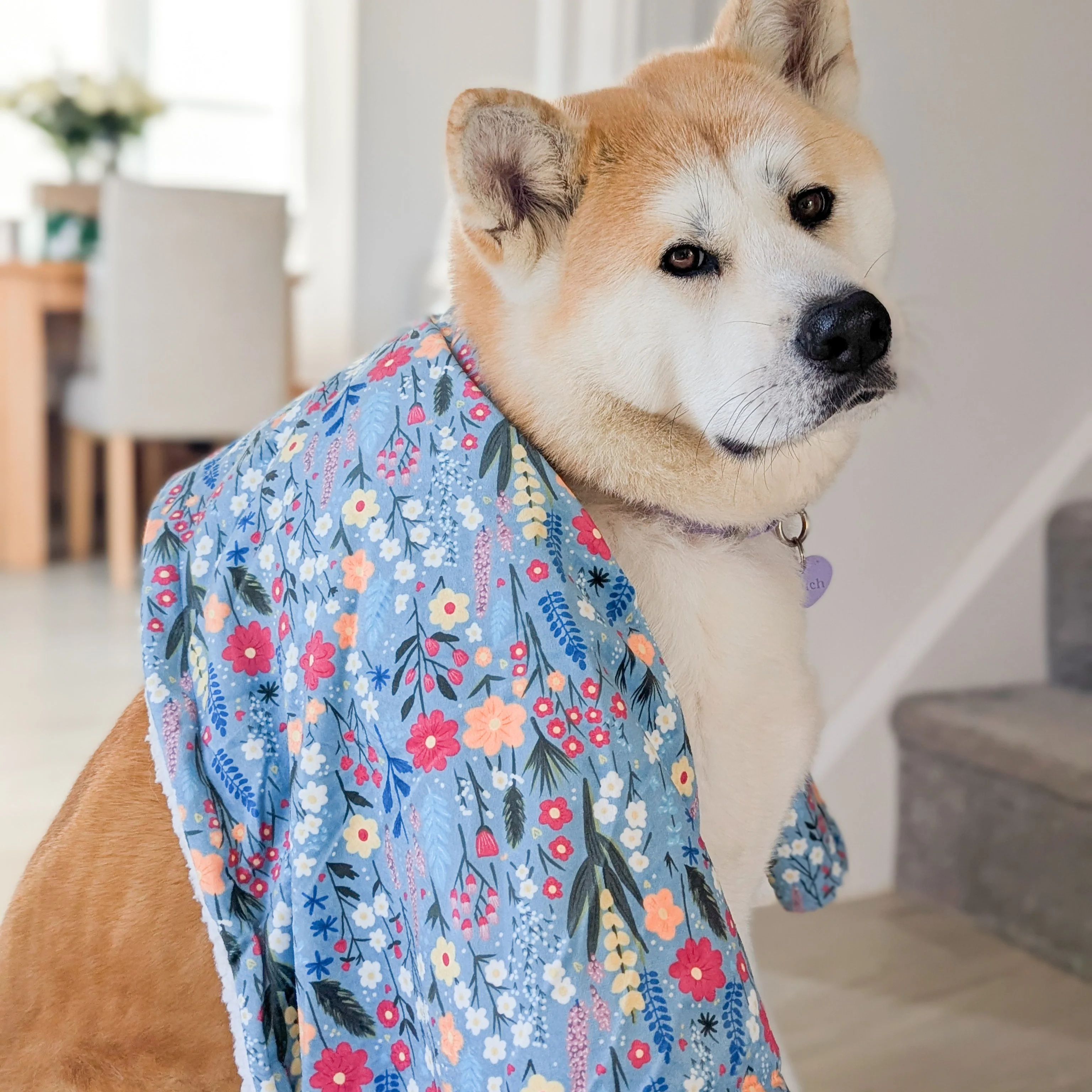 Dog Blanket -  Whimsical Wildflowers - Image 5