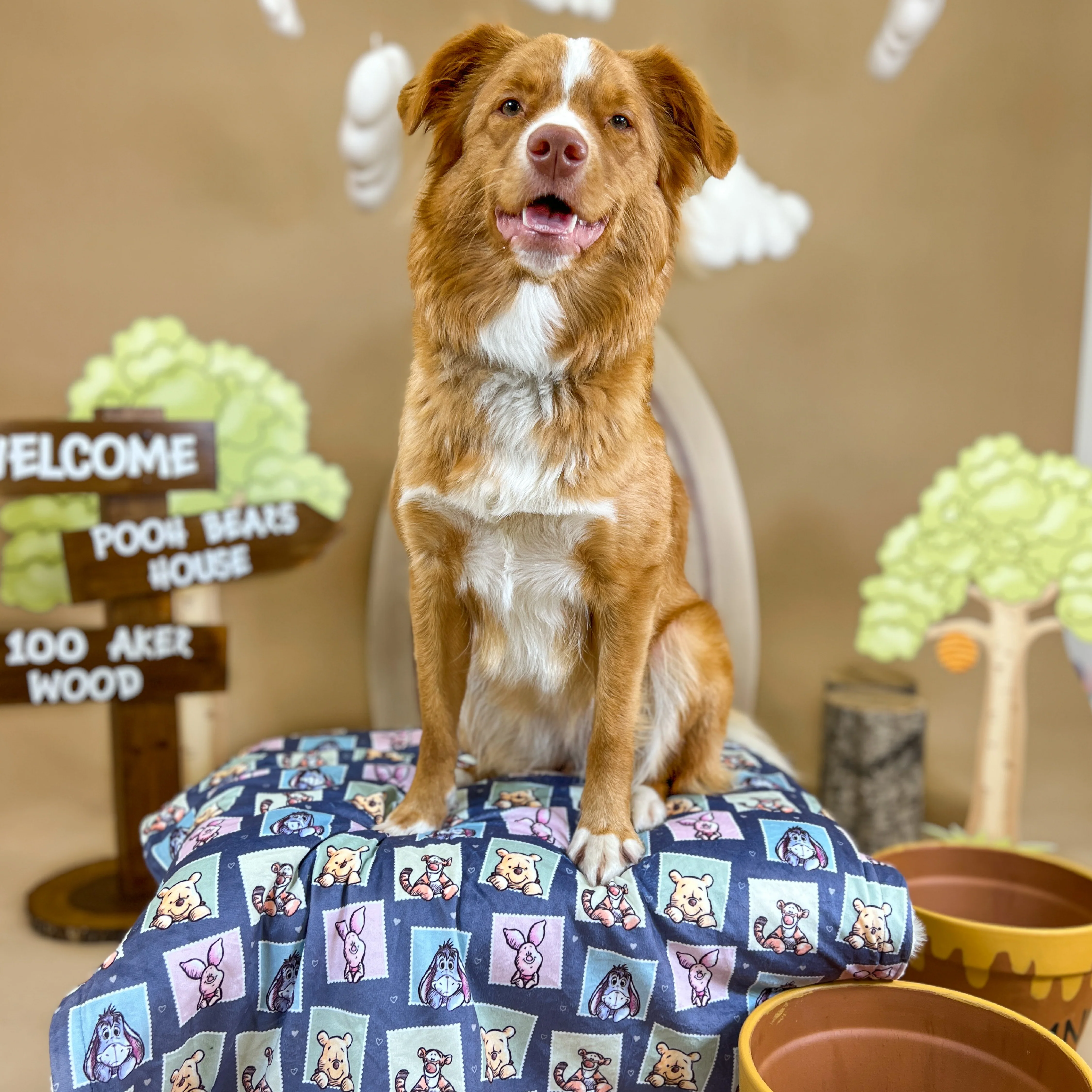 Disney© Dog Blanket - Winnie + Friends - Image 7