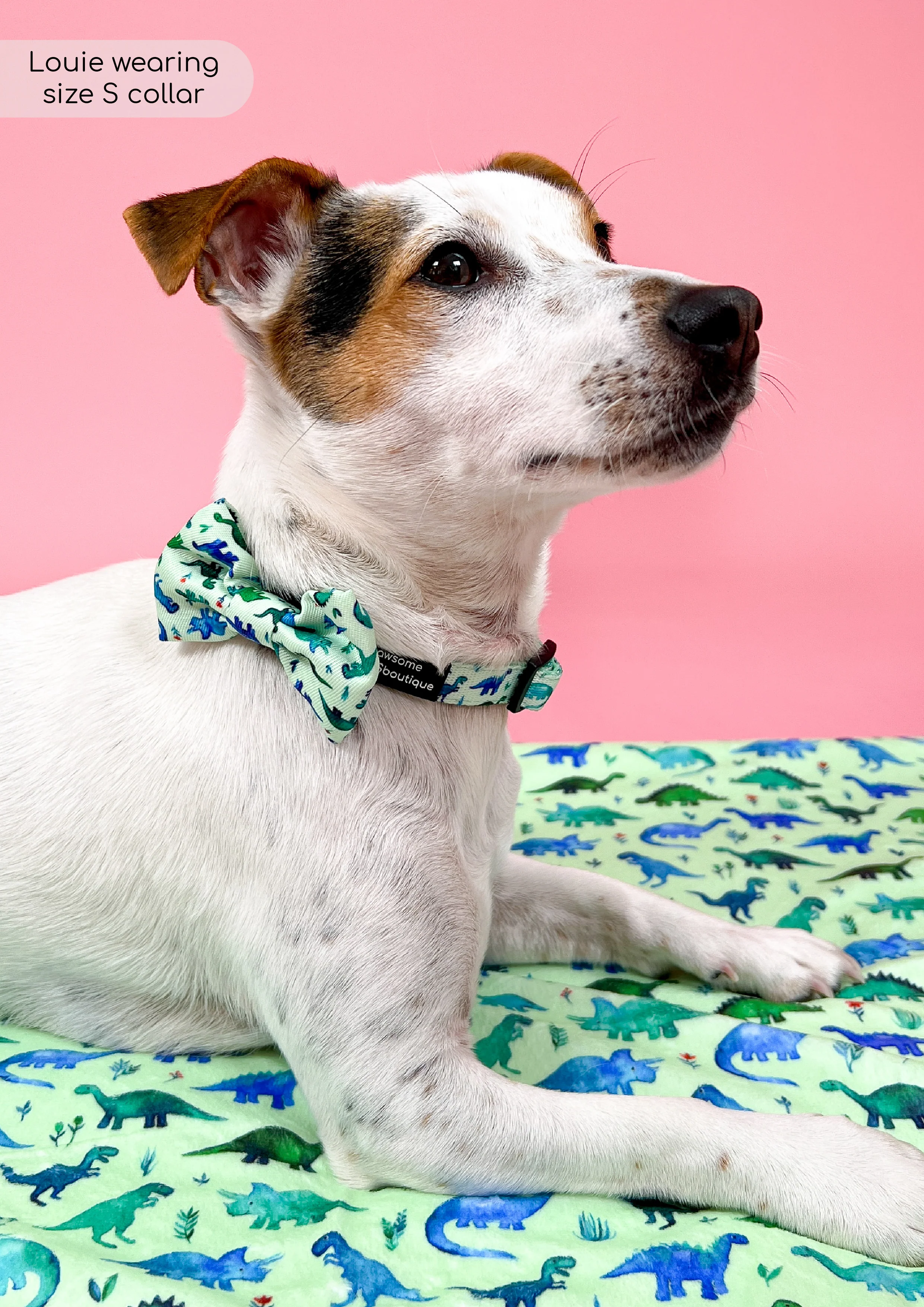 Dog Blanket - Dinky Dino - Image 4