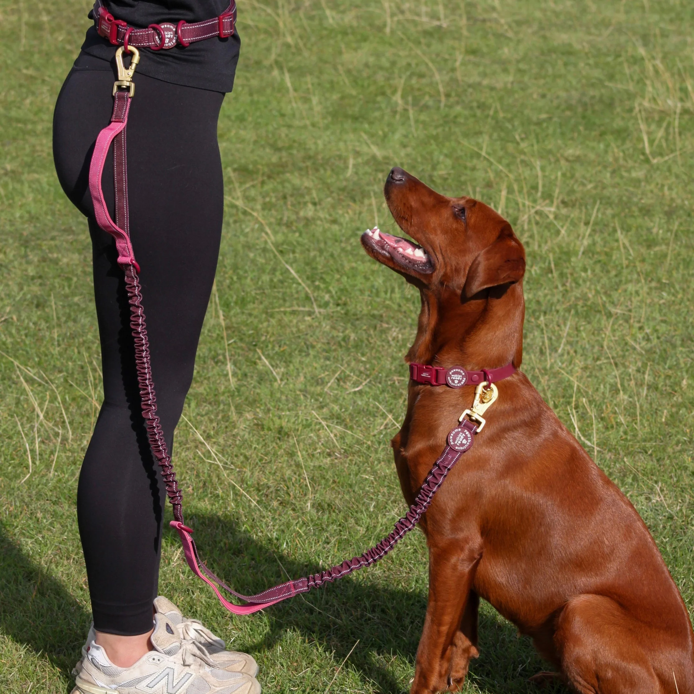 Handsfree Lead - Walkies Ready® Mulberry - Image 4