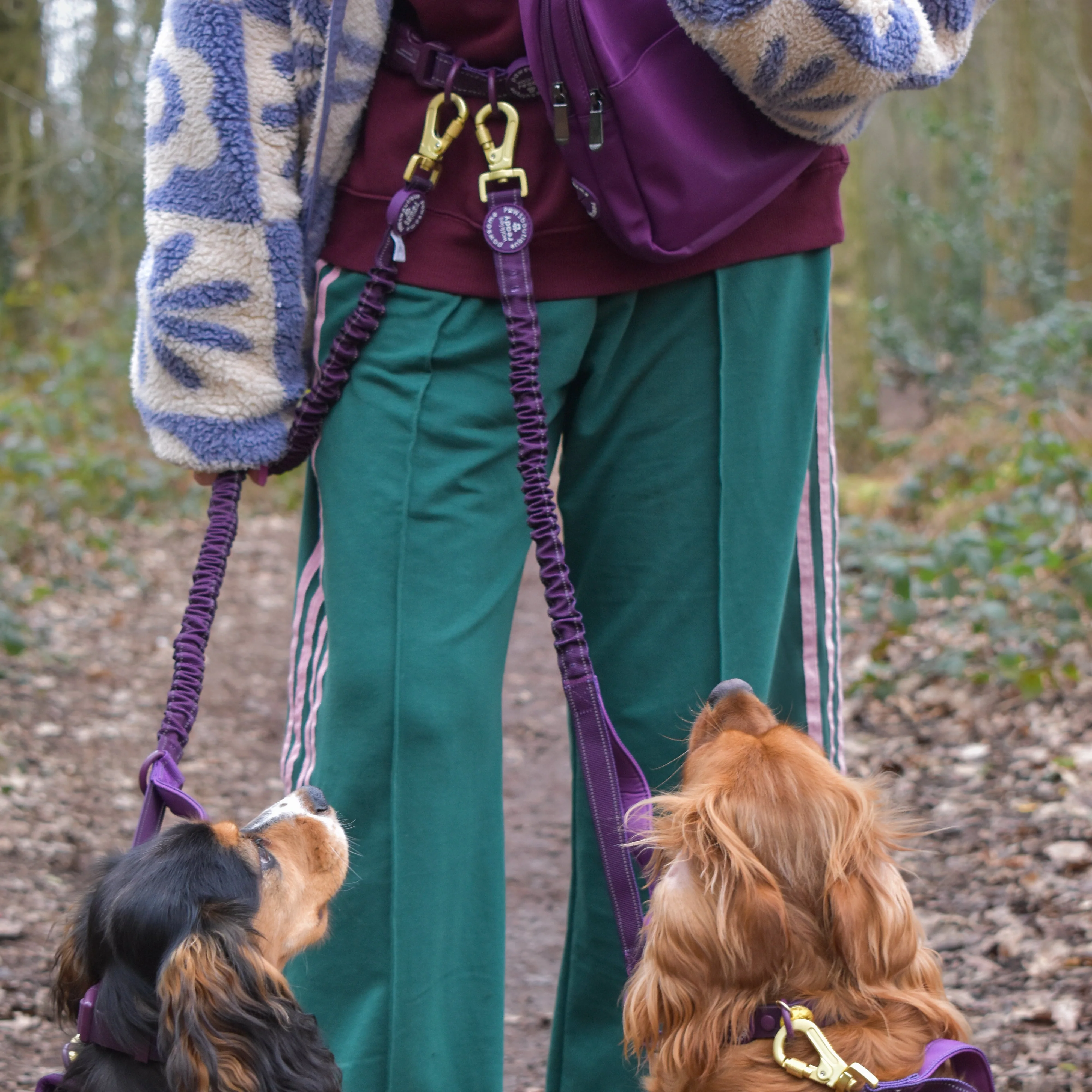 Handsfree Lead - Walkies Ready® Plum - Image 11