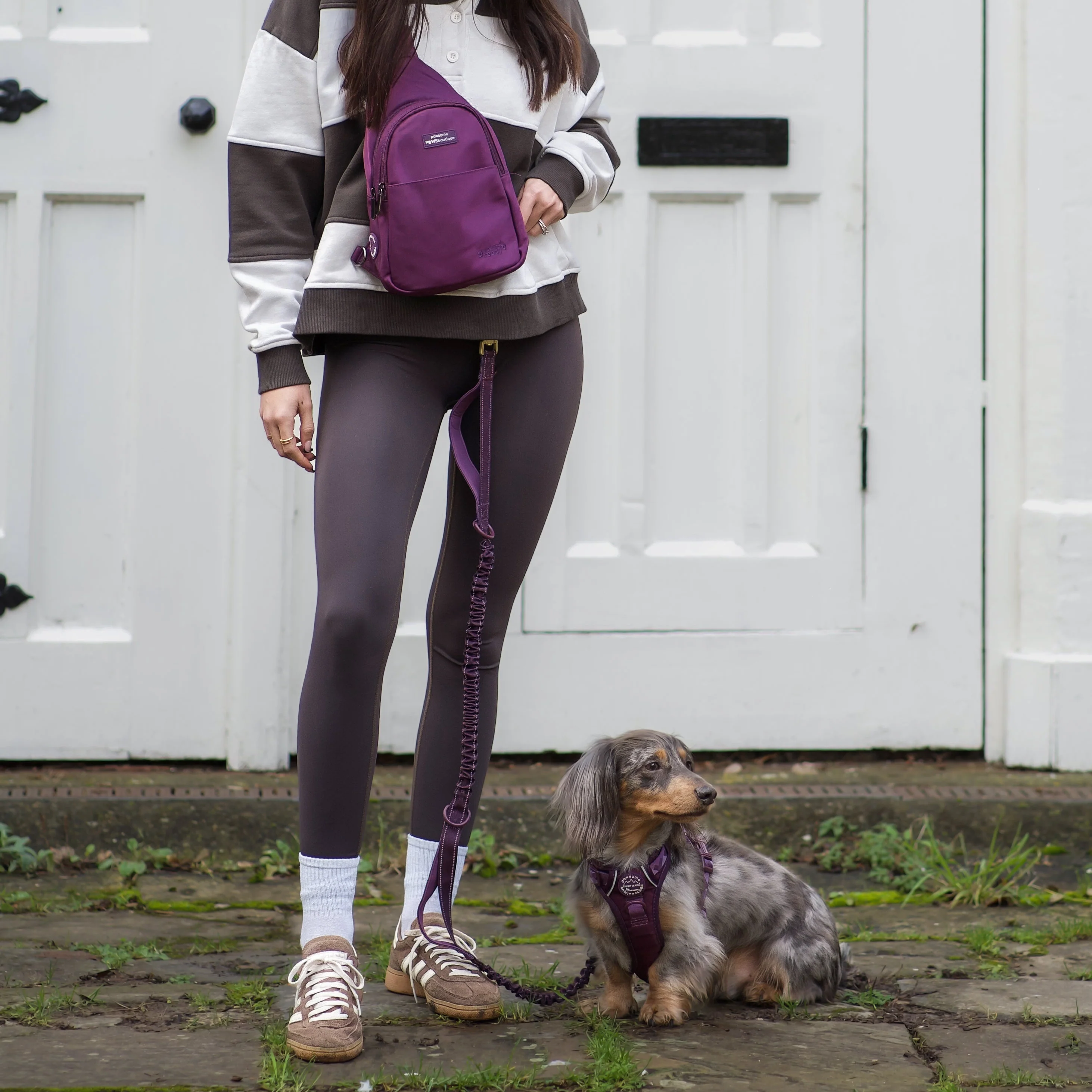 Handsfree Lead - Walkies Ready® Plum - Image 14