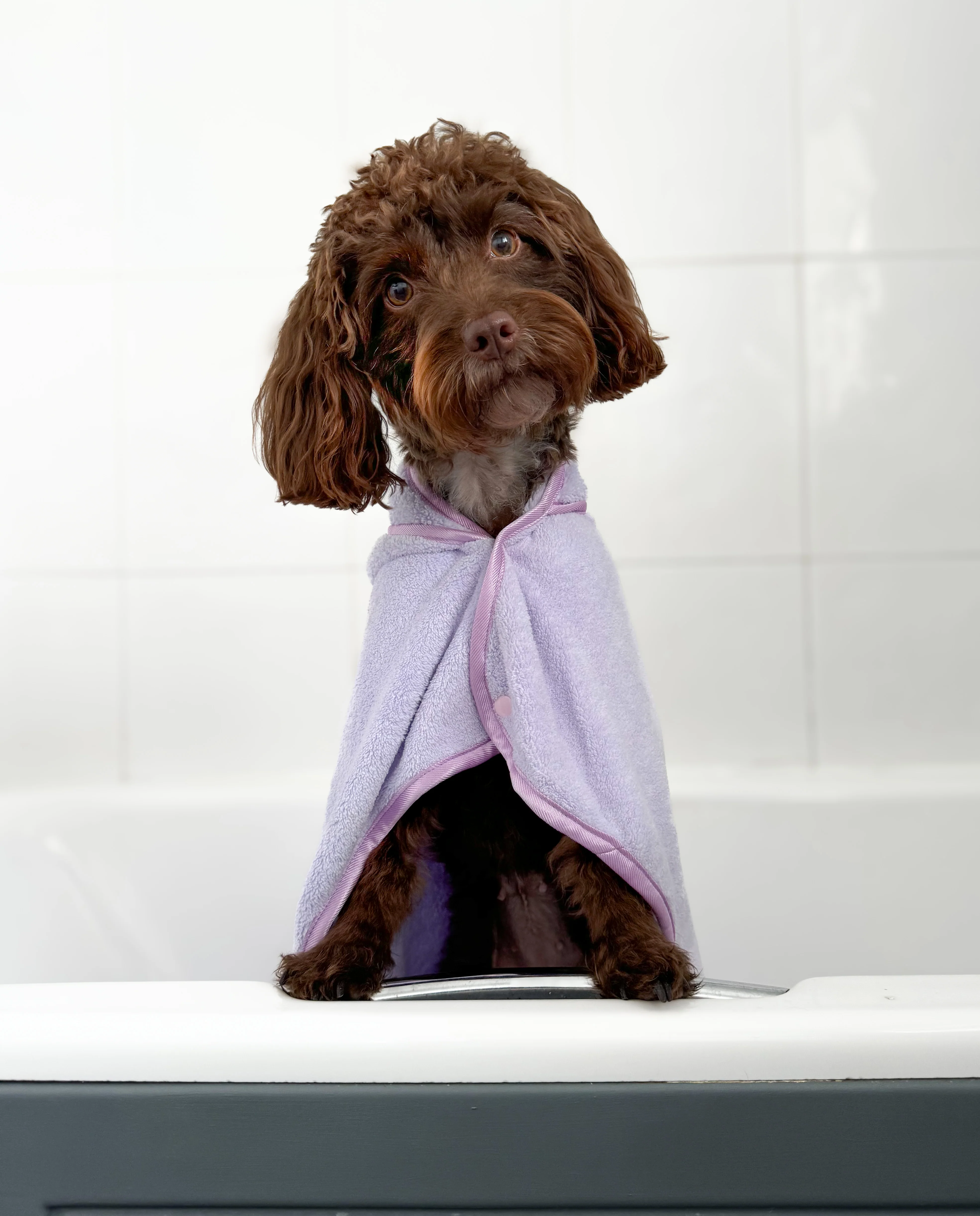 Disney© Hooded Microfibre Towel - Bambi + Friends Lilac - Image 20