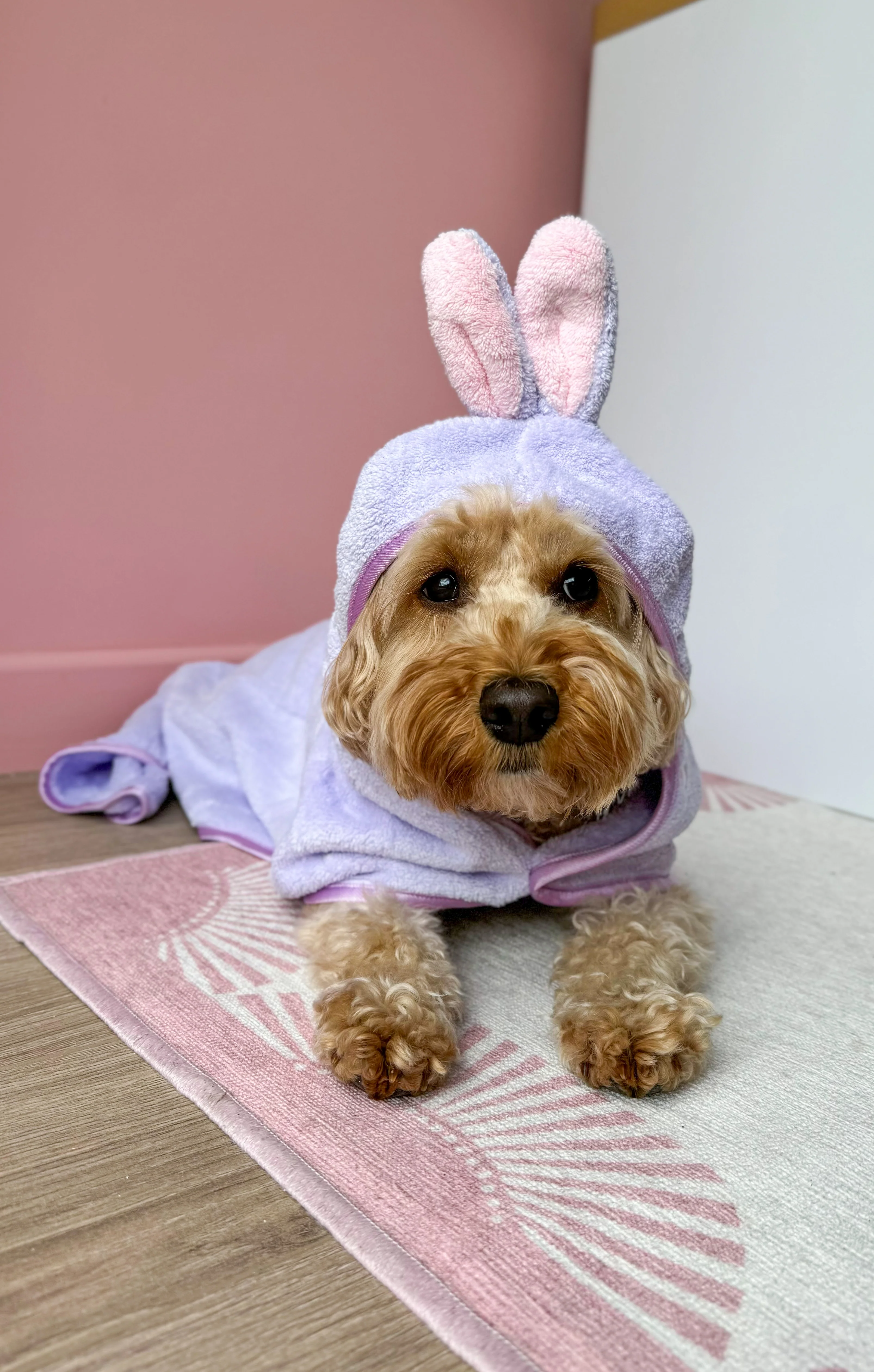 Disney© Hooded Microfibre Towel - Bambi + Friends Lilac - Image 8
