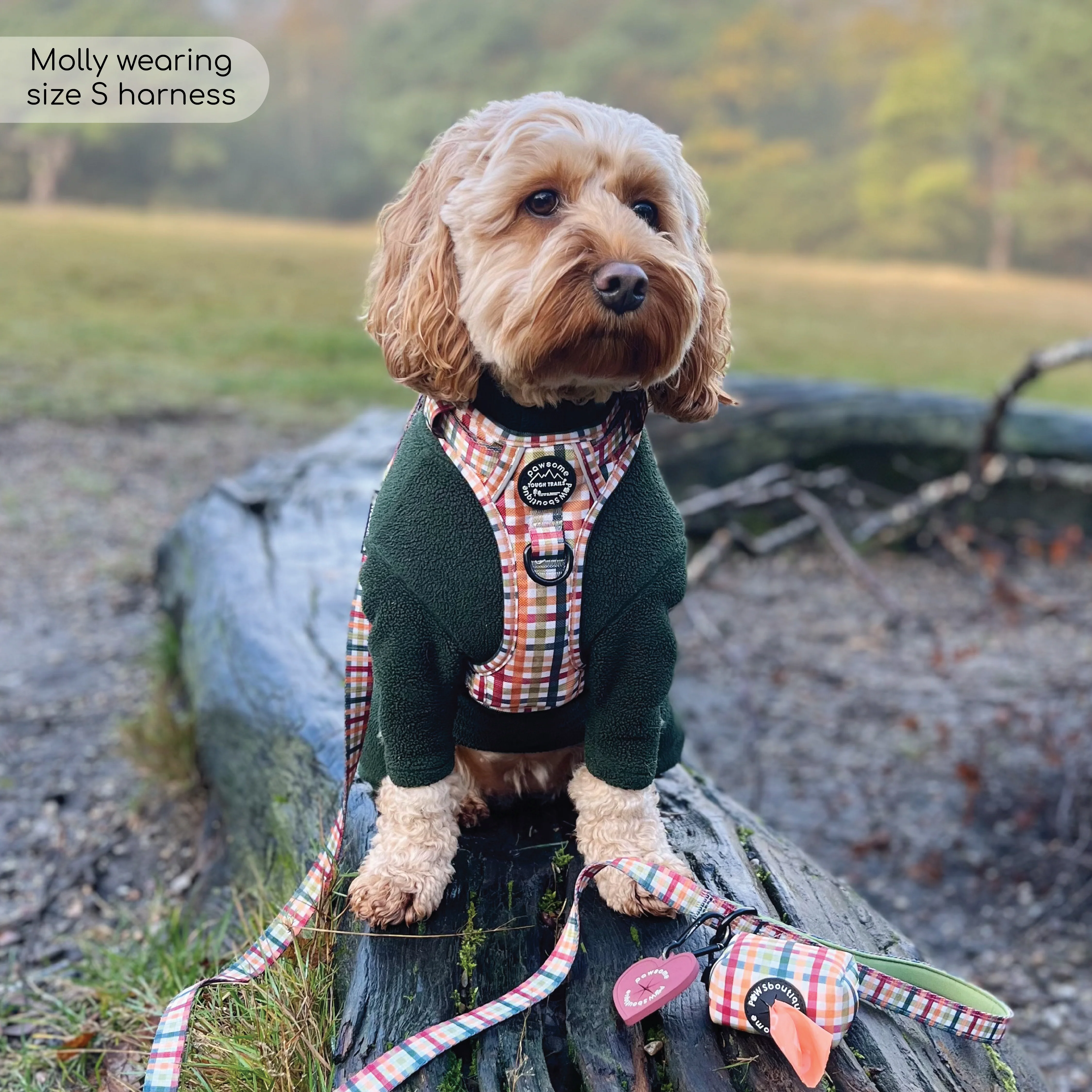 Lead - Plaid Pup - Image 6