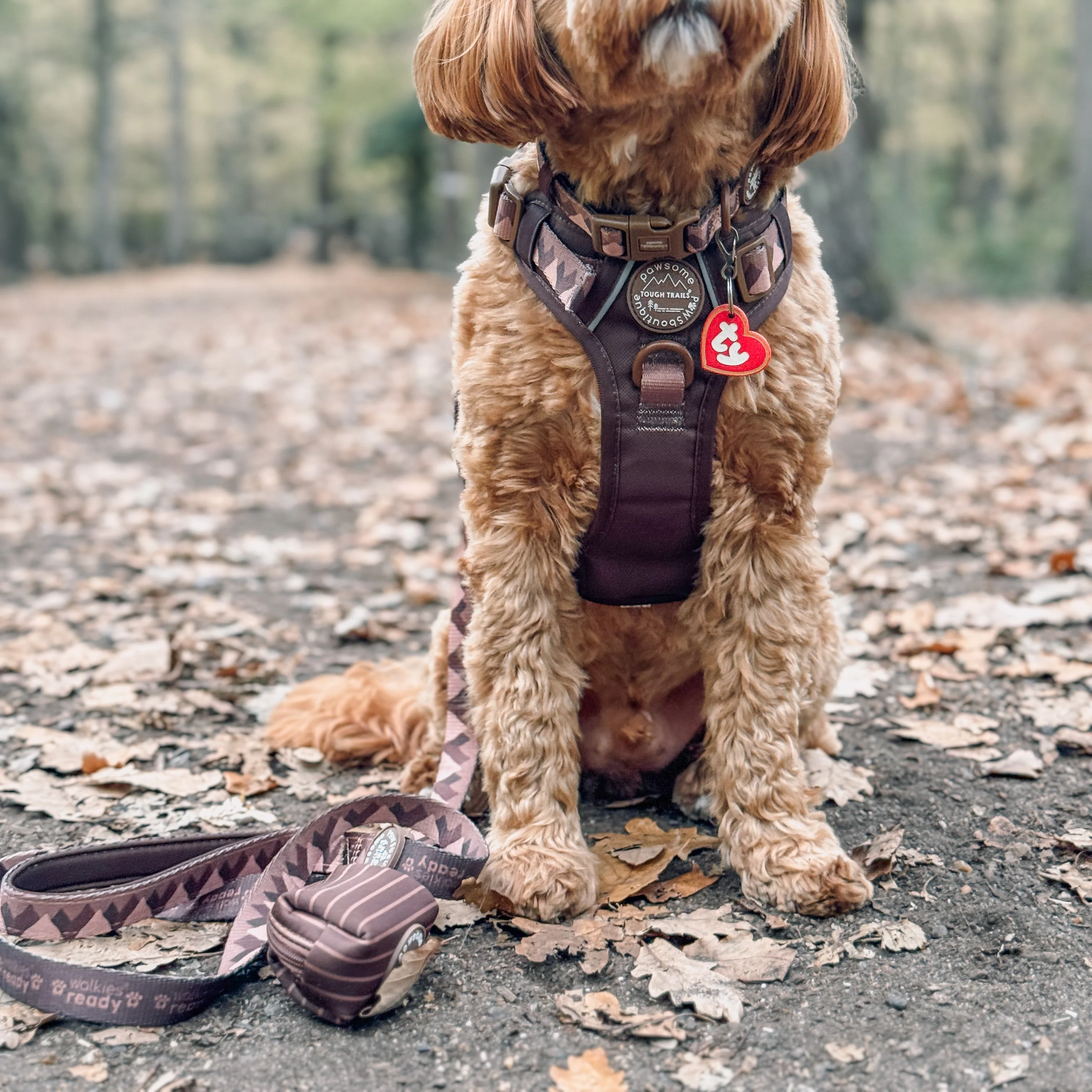 Lead - Walkies Ready® Chocolate Brown - Image 11