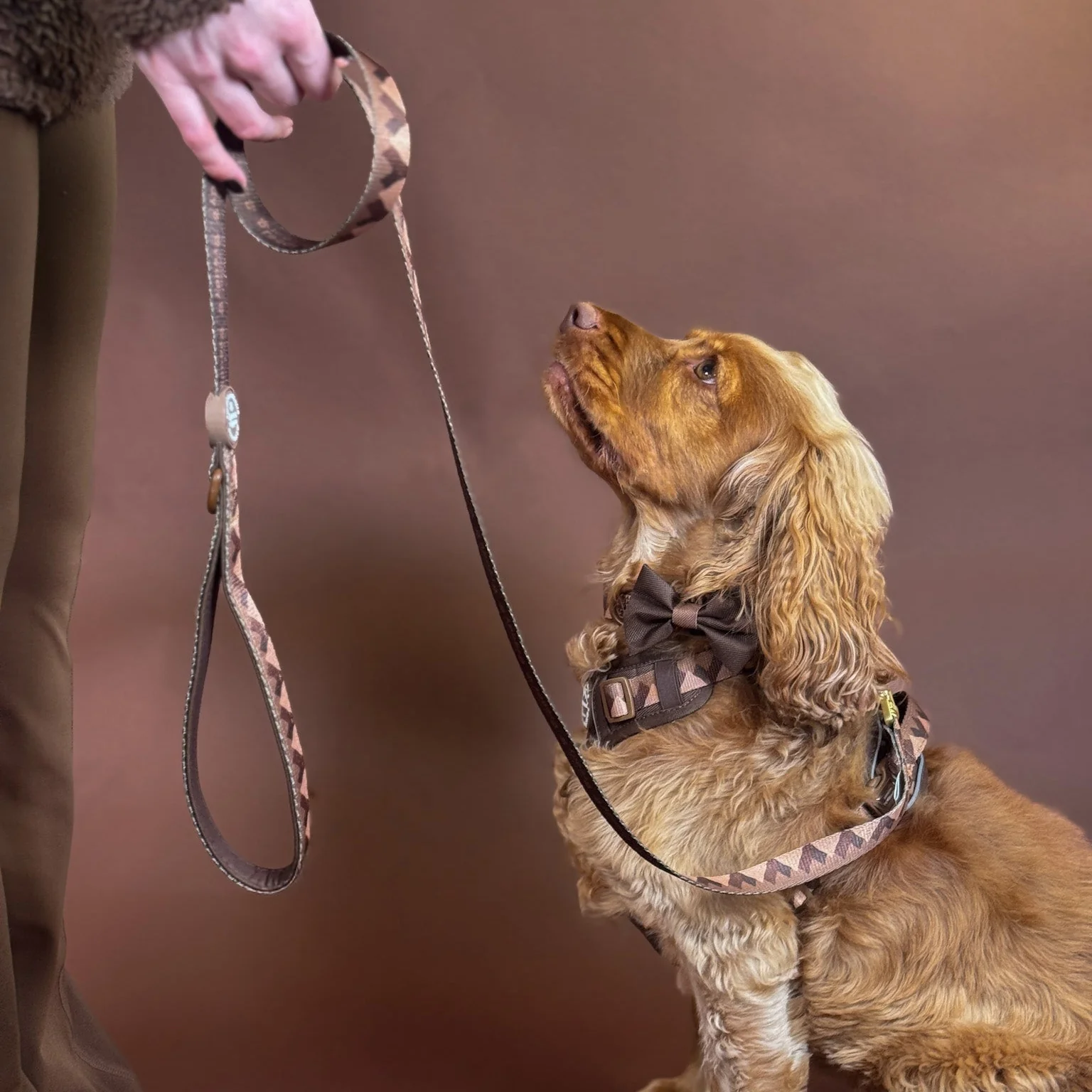 Lead - Walkies Ready® Chocolate Brown - Image 4