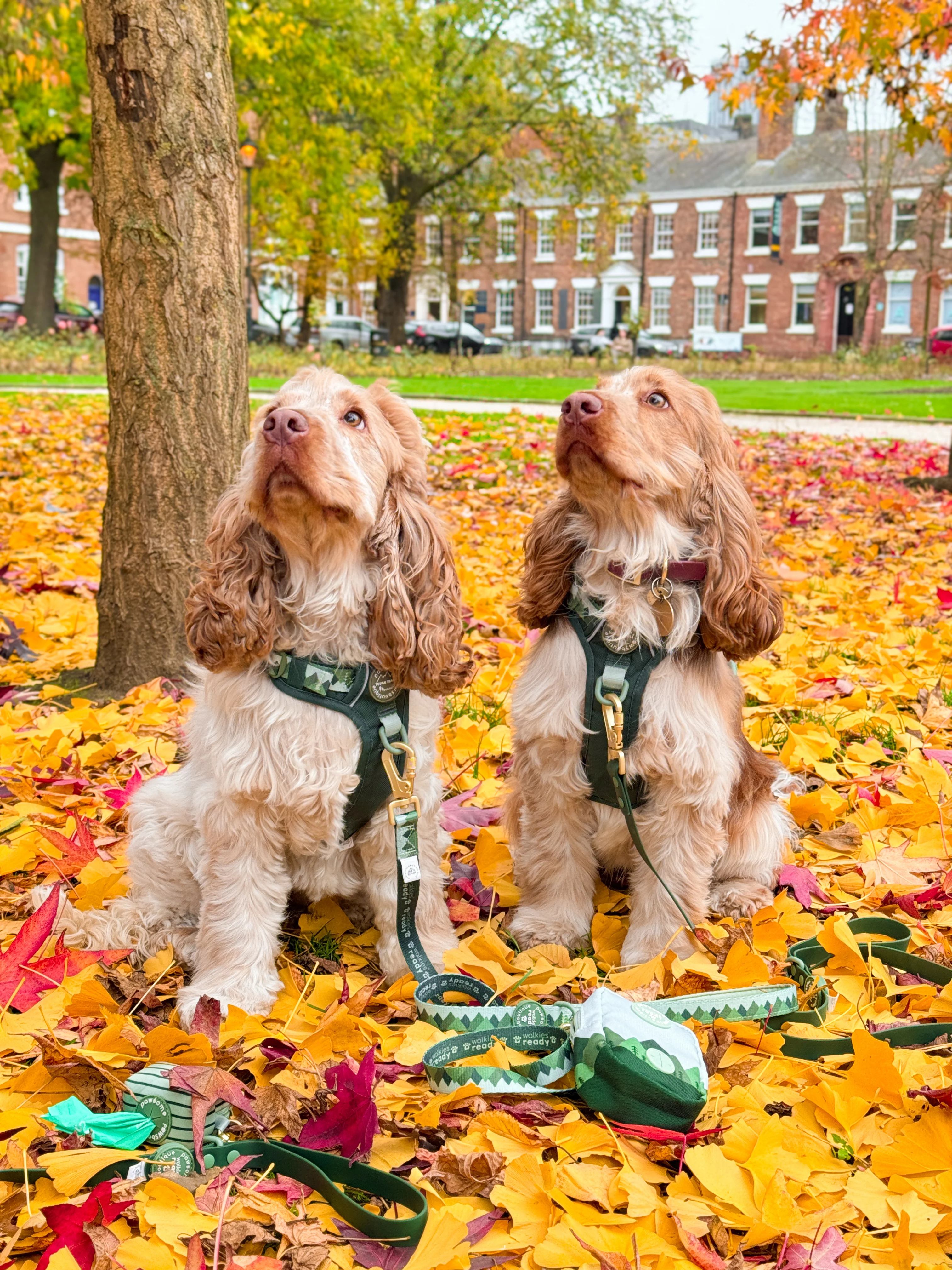 Lead - Walkies Ready® Forest Green - Image 5