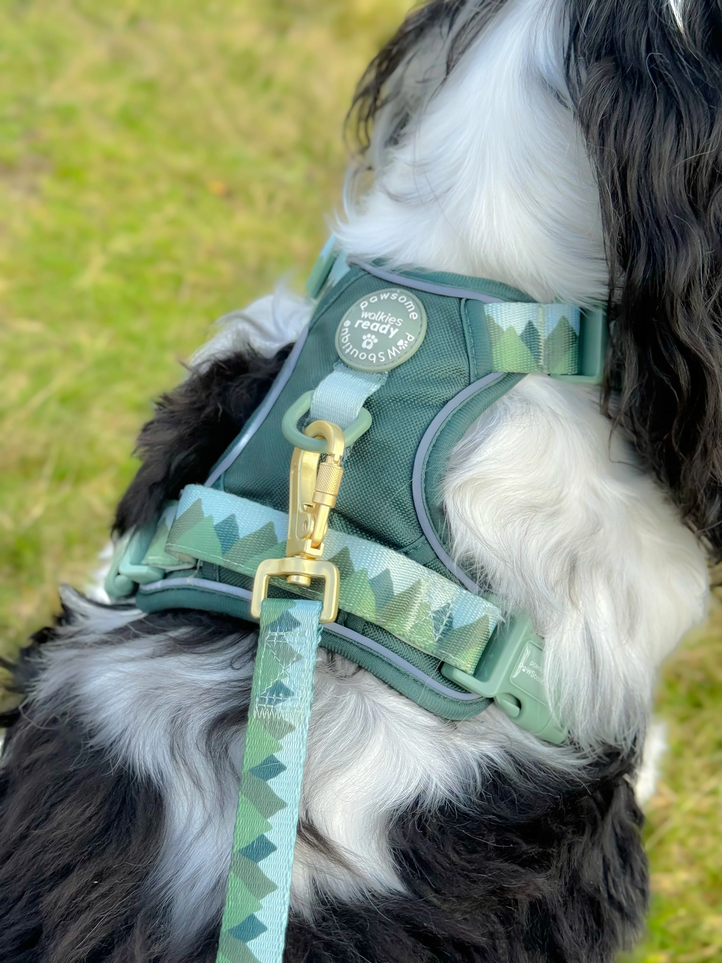 Lead - Walkies Ready® Forest Green - Image 6