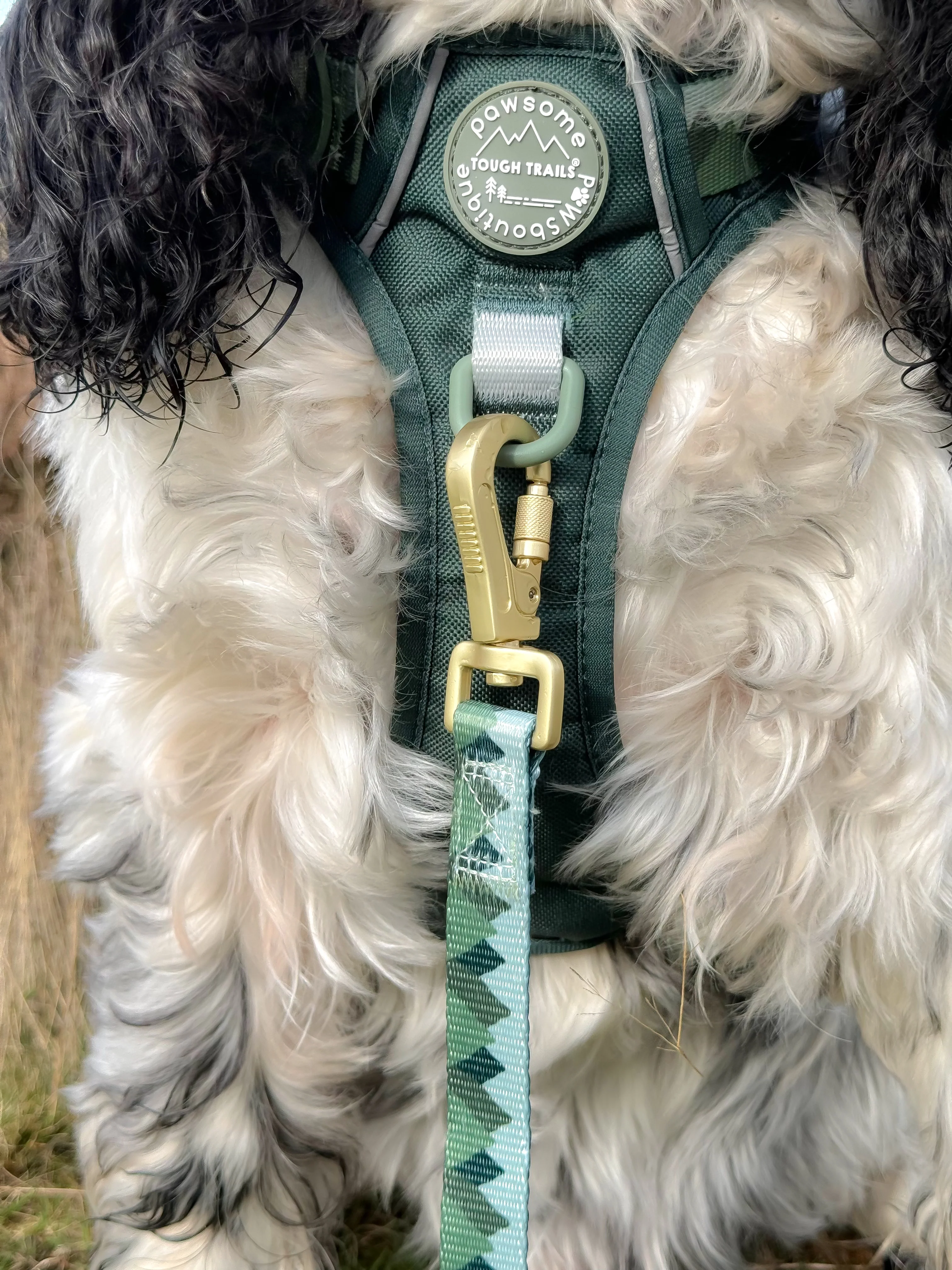 Lead - Walkies Ready® Forest Green - Image 7