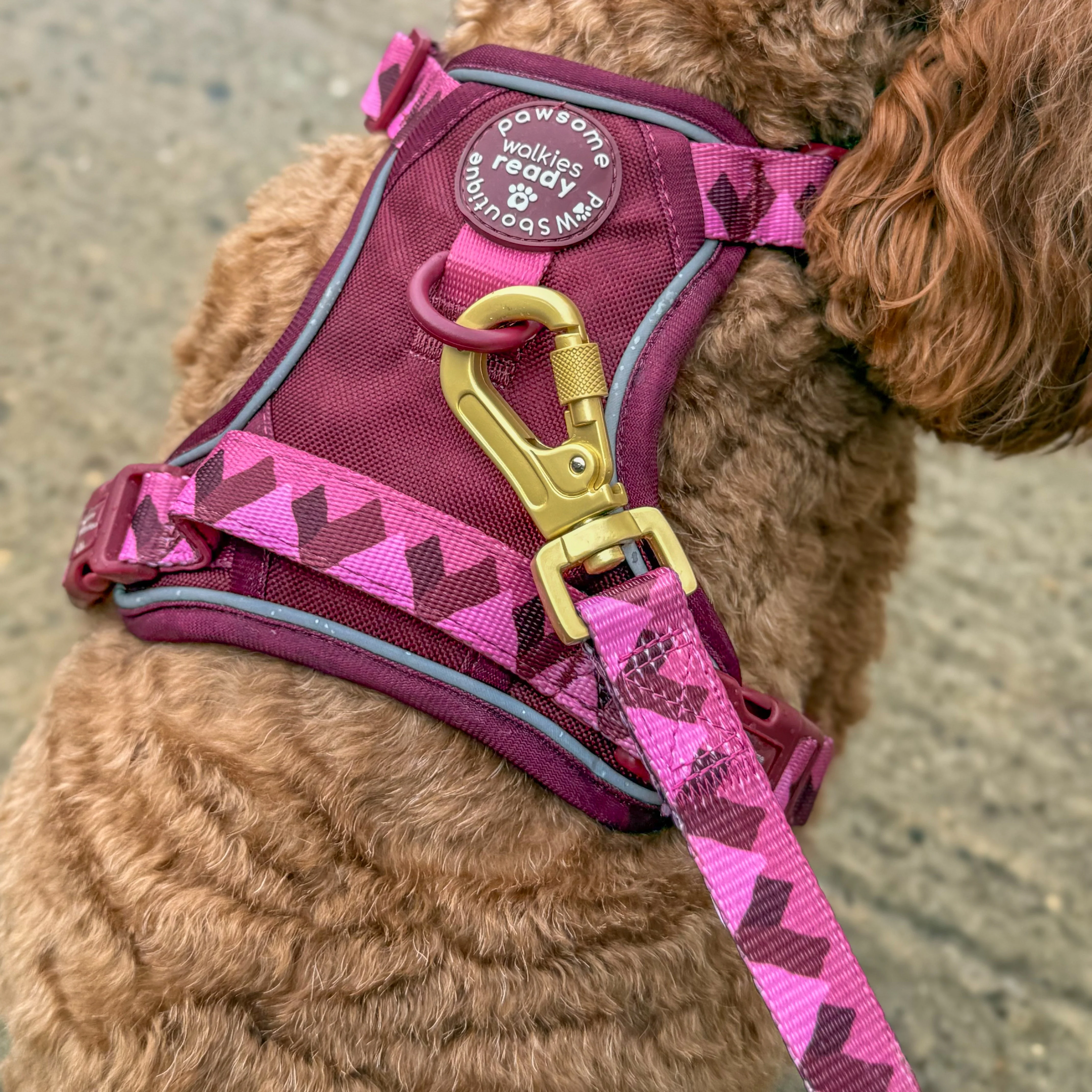 Lead - Walkies Ready® Mulberry - Image 5