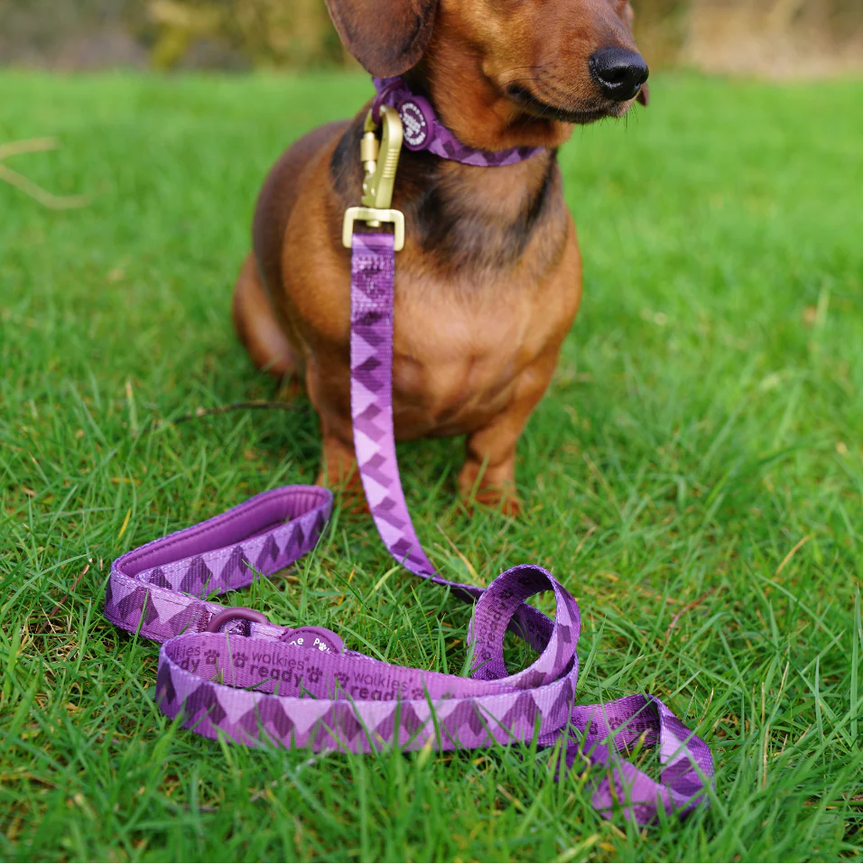 Lead - Walkies Ready® Plum - Image 11