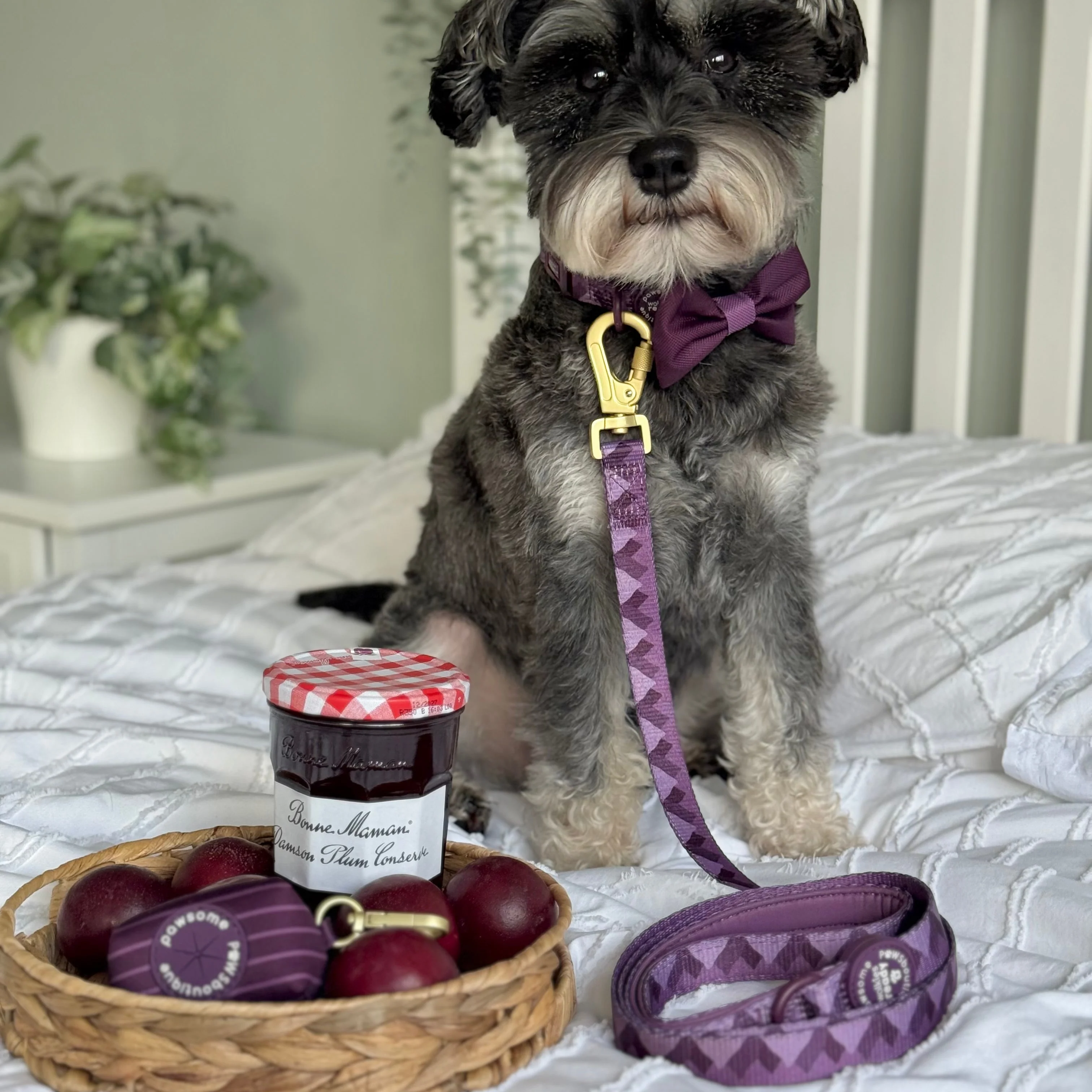 Lead - Walkies Ready® Plum - Image 9